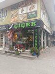 Tanya Çiçek (Istanbul, Bahcelievler, Ahmet Yesevi Avenue, 73B), flower shop