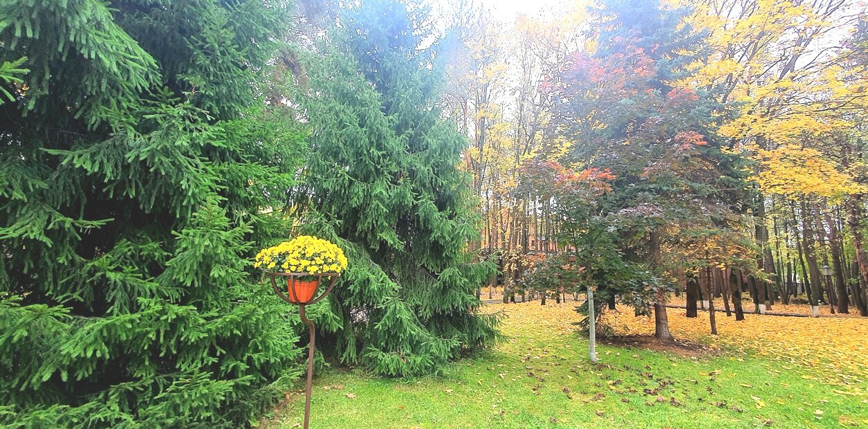 Фото Санаторий-профилакторий Лесной Дворик