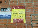 Afina Pallada (Matrosova Street, 10), accountants