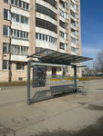 Улица Демьяна Бедного (Saint Petersburg, Demyana Bednogo Street), public transport stop
