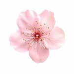 Орхидея (85-y kvartal, 41), flower shop