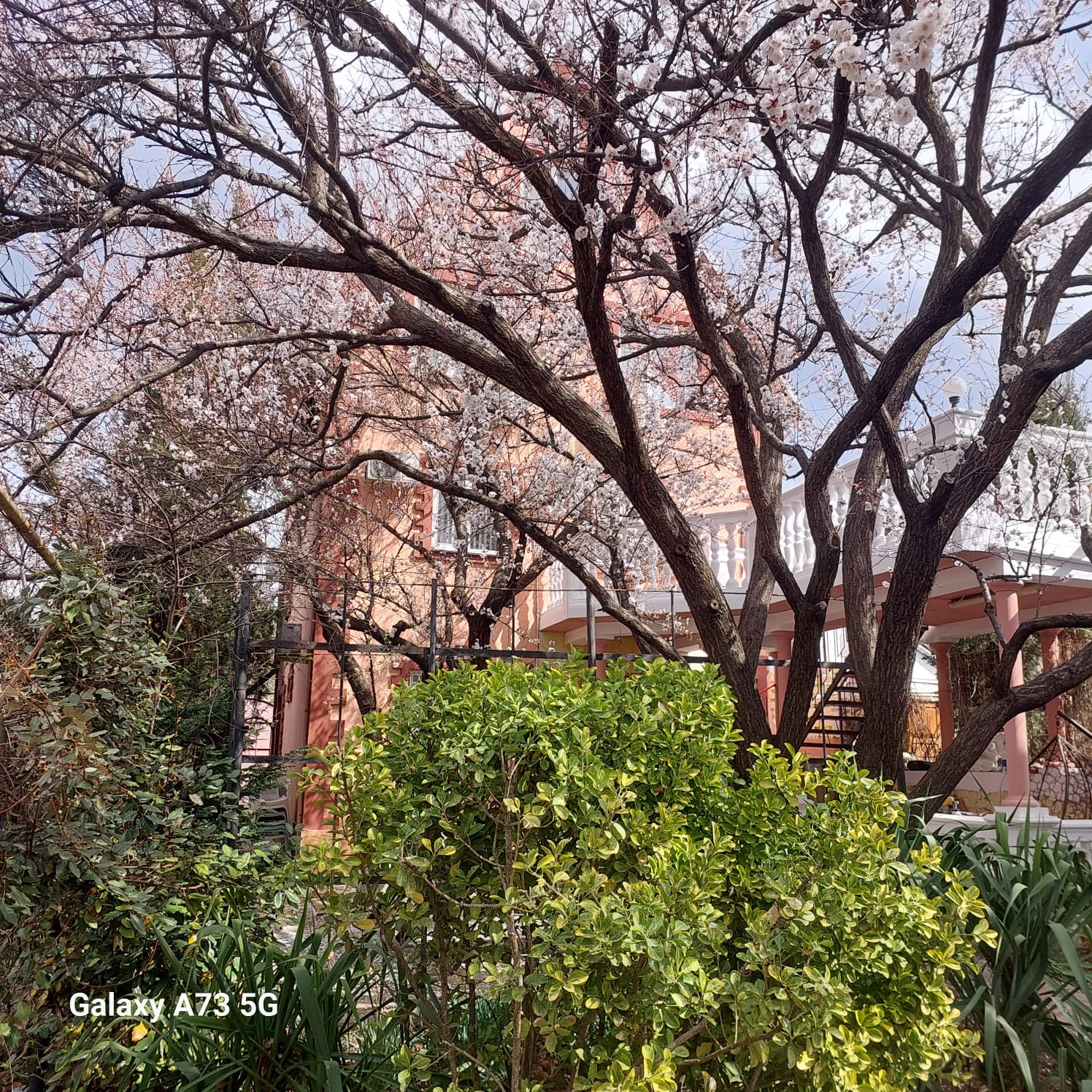 Фото Солнечный бриз