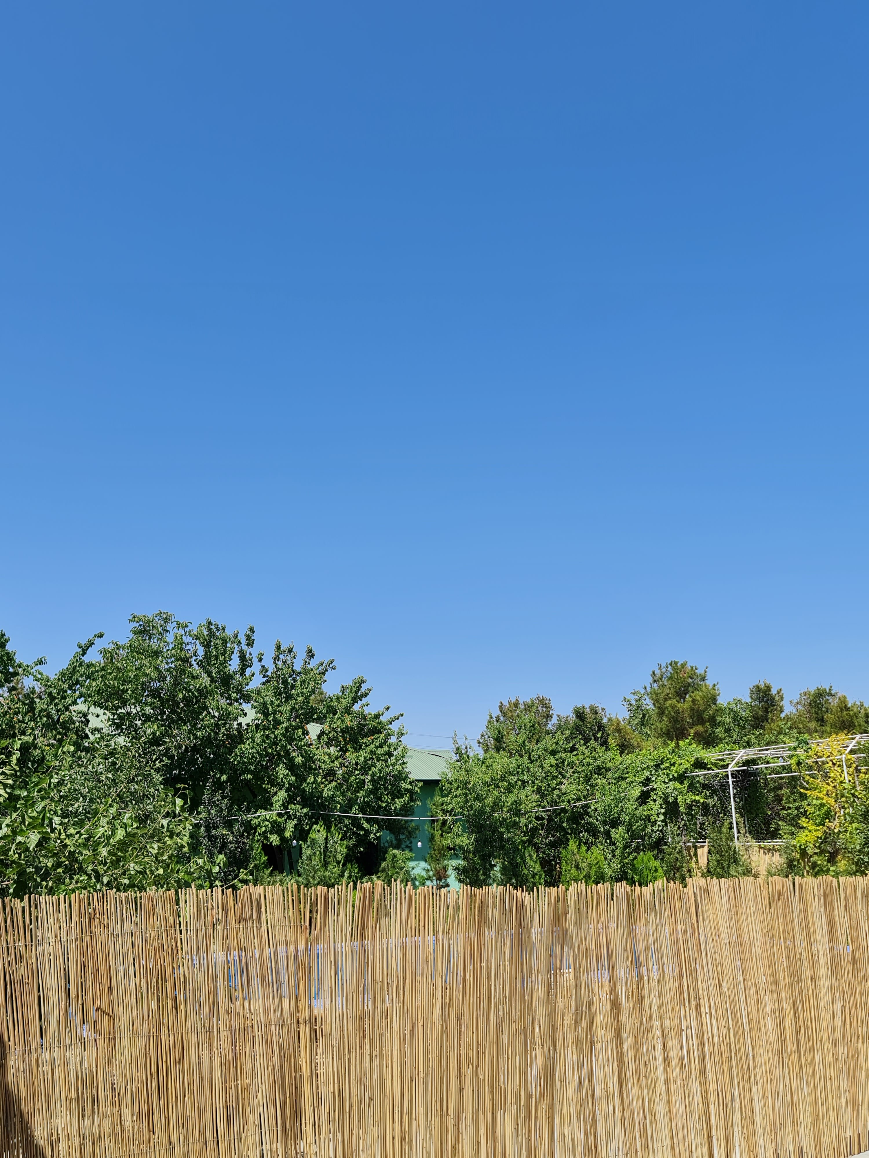 Фото May Weather Resort