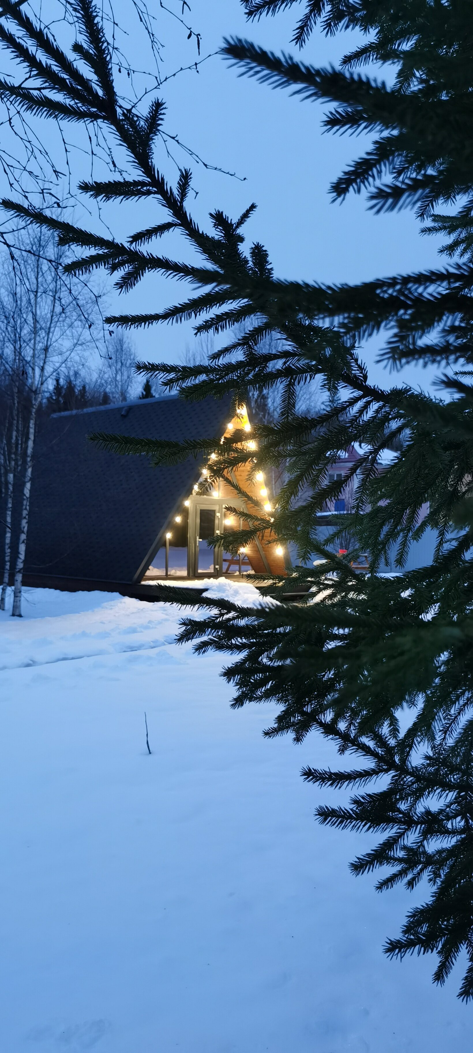 Фото Домики у леса в посуточную аренду
