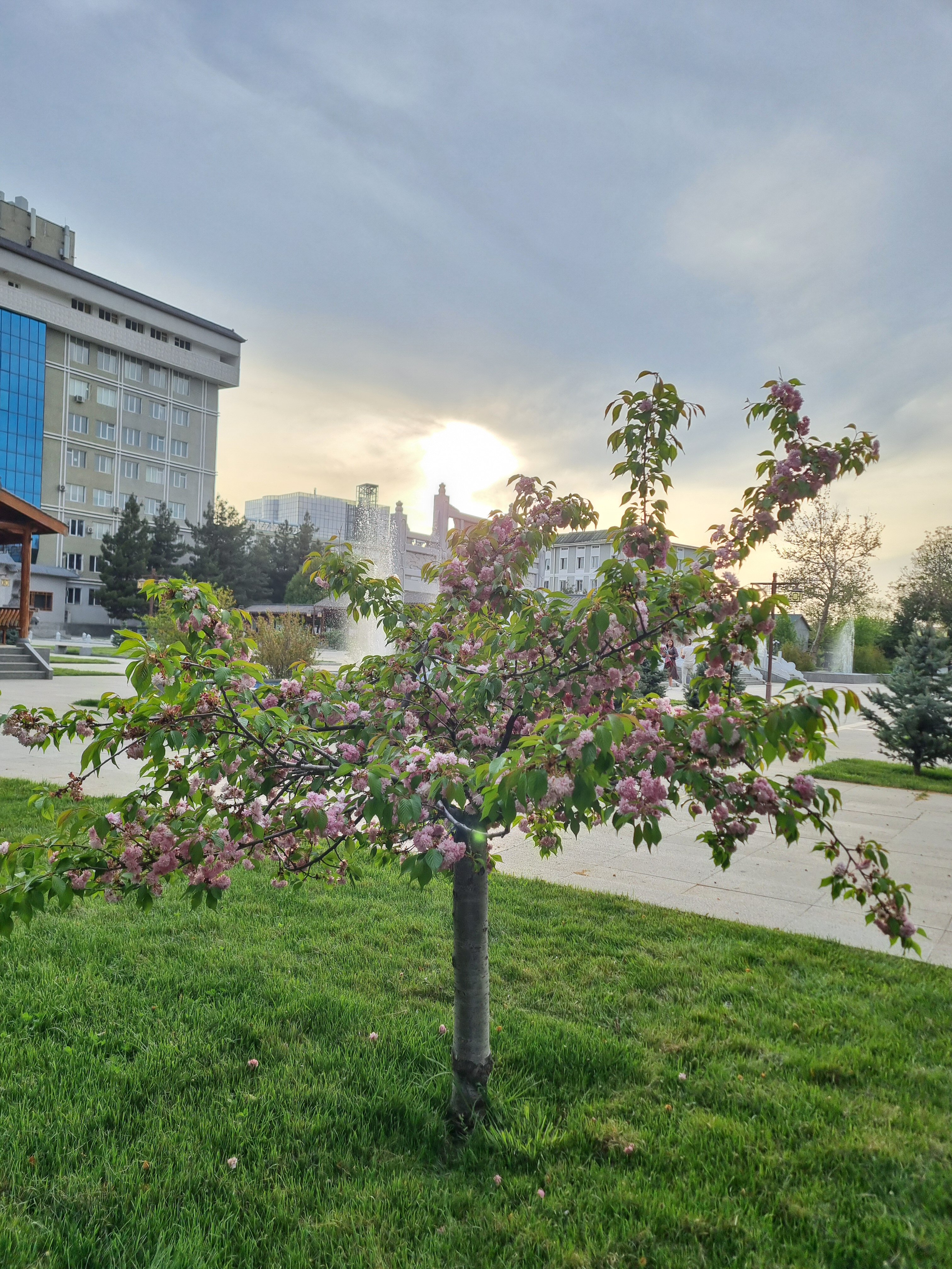 Фото Continental Hotel Samarkand