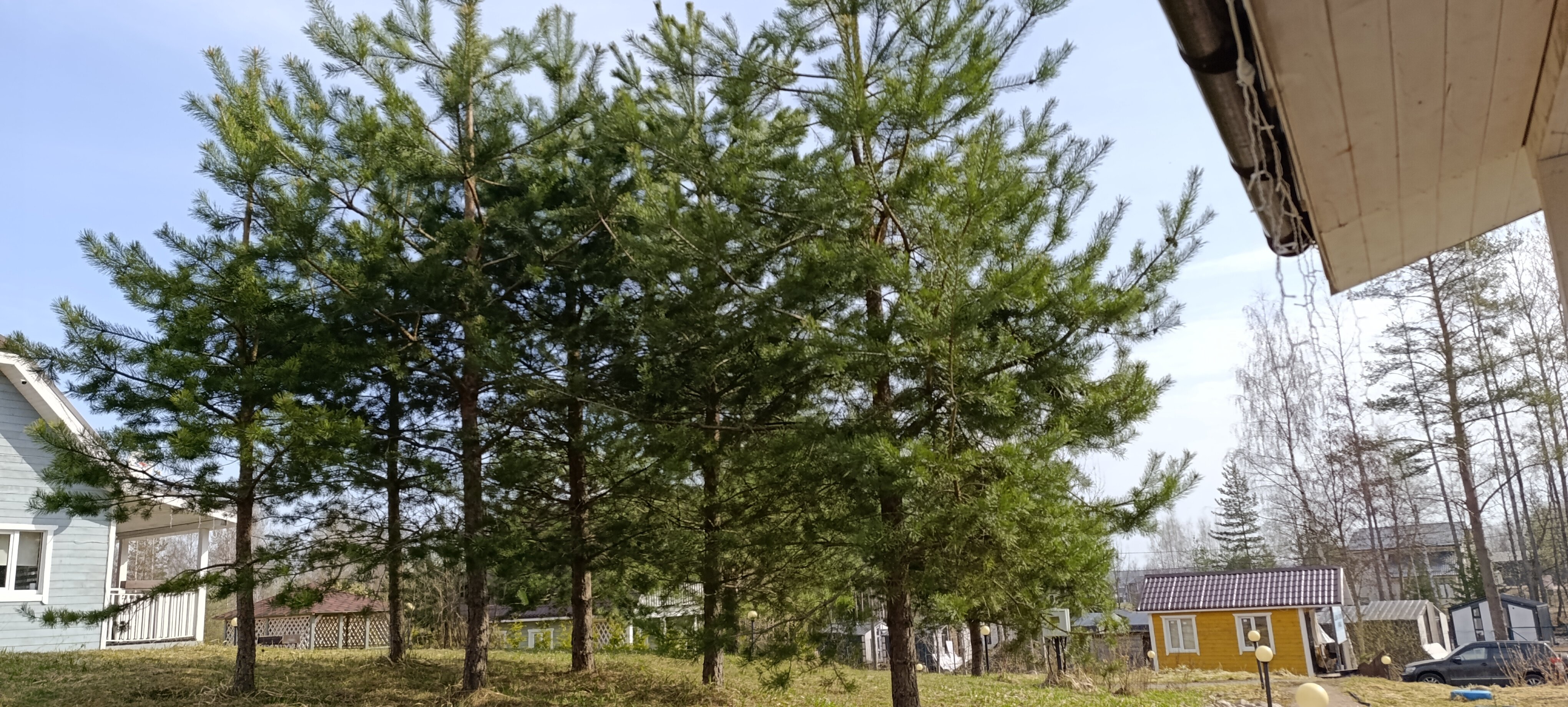 Фото Dream House