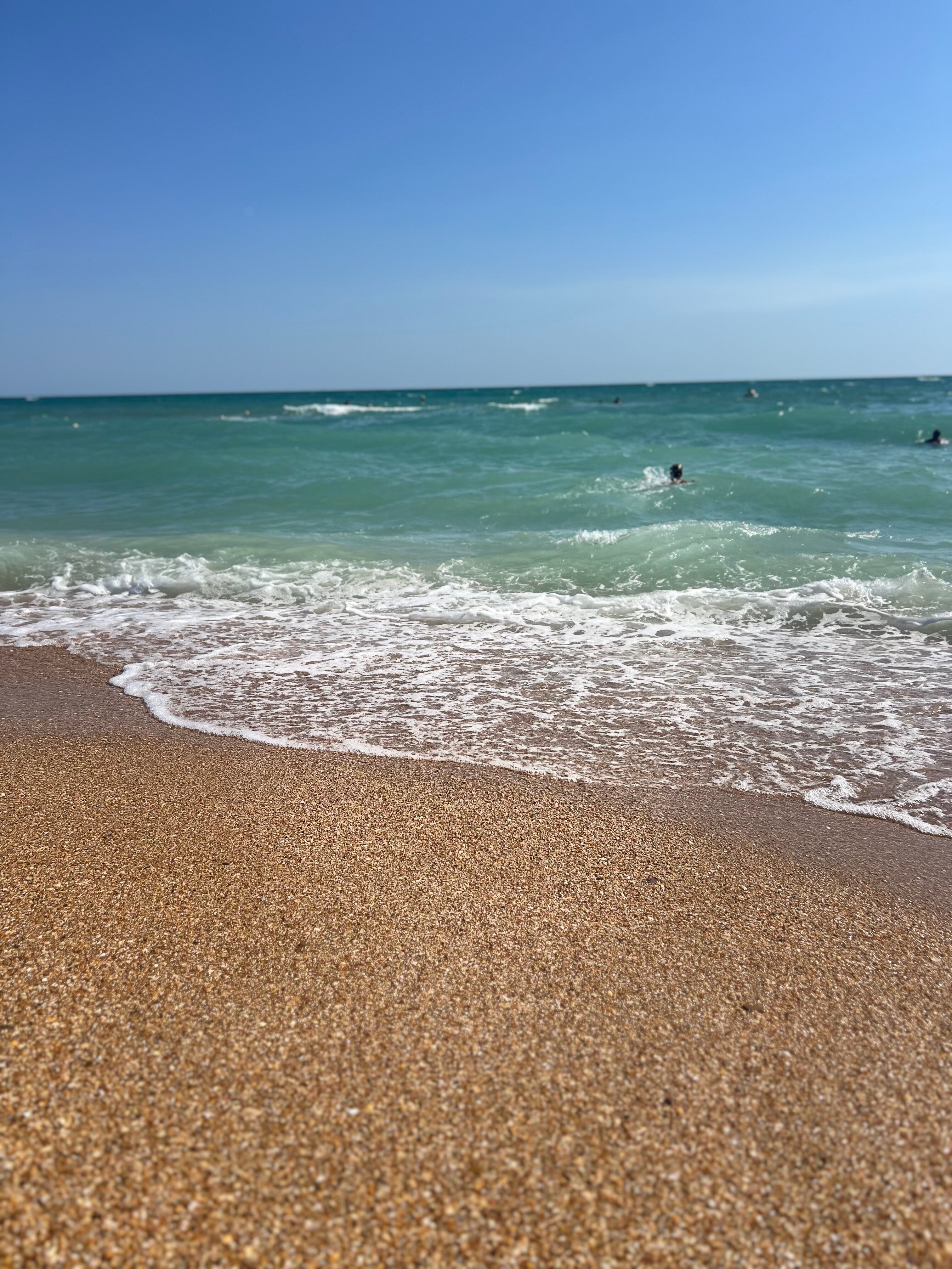 Фото Конкур