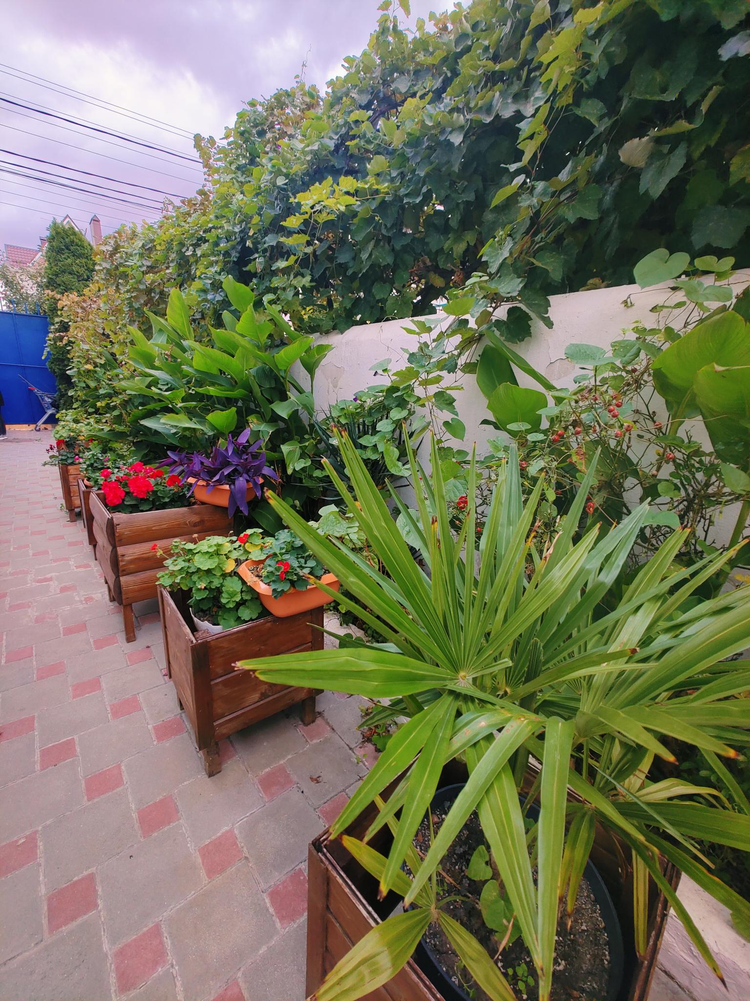 Фото Элегант