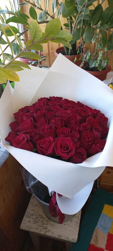 Юлия Гайфуллина