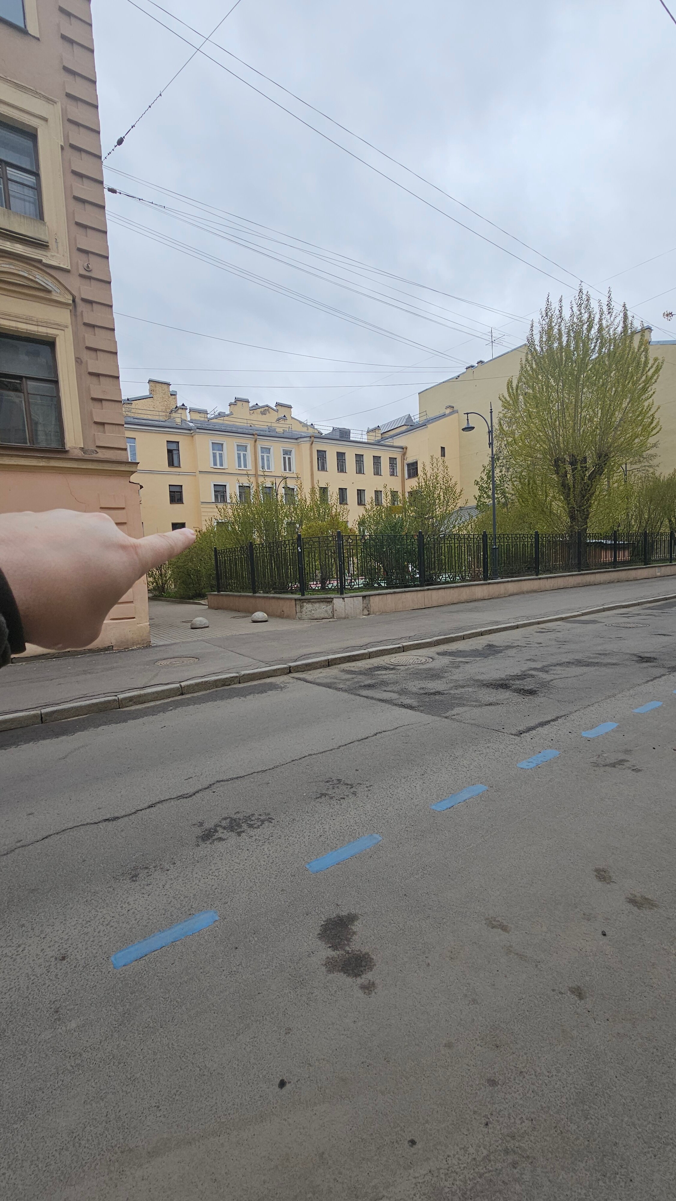 Фото Паллада