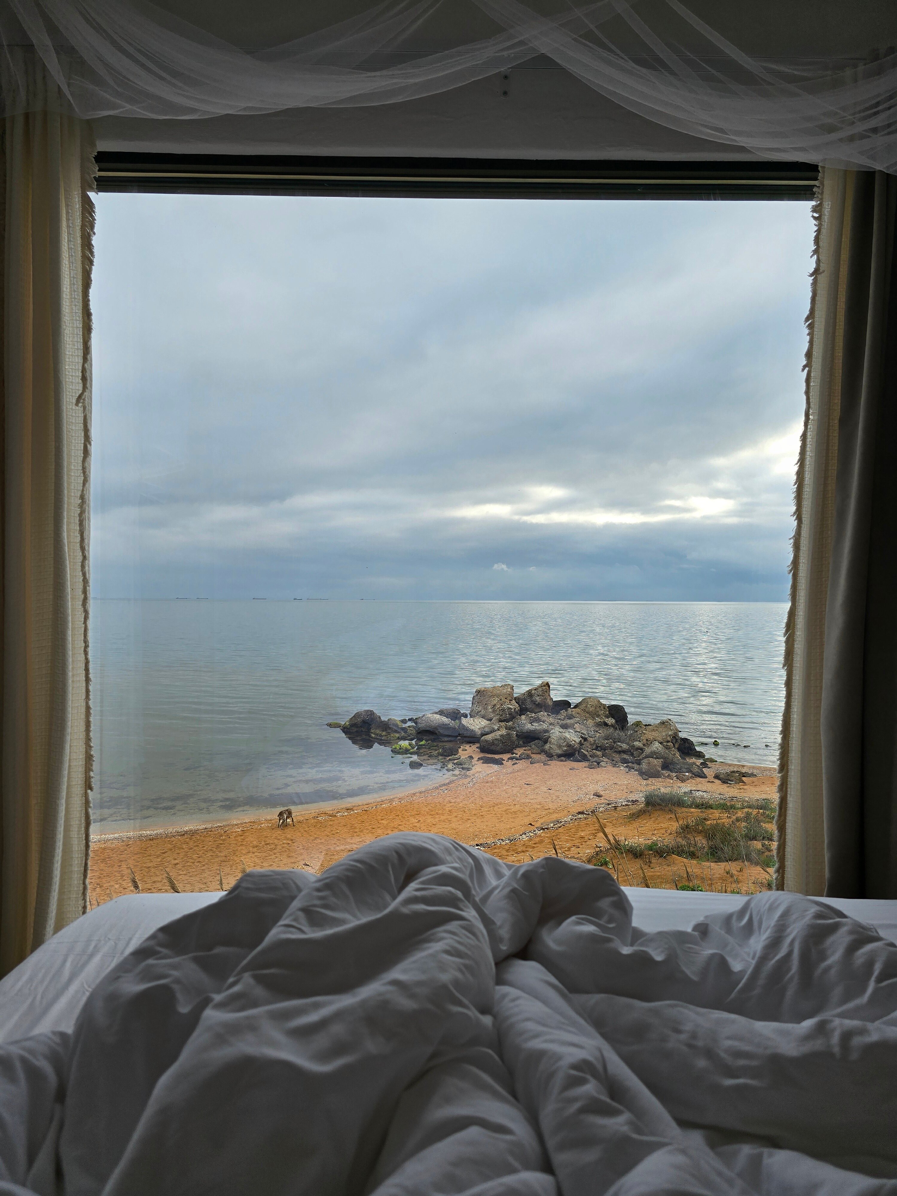 Фото Moreya eco bungalow