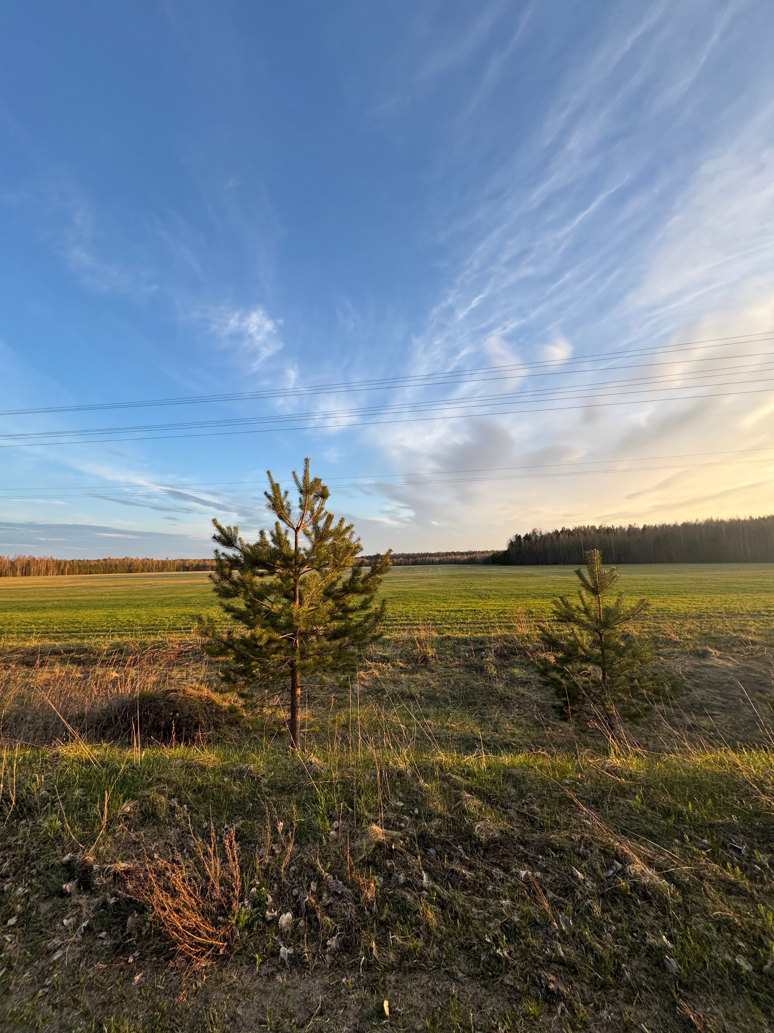Фото Усадьба Каялина