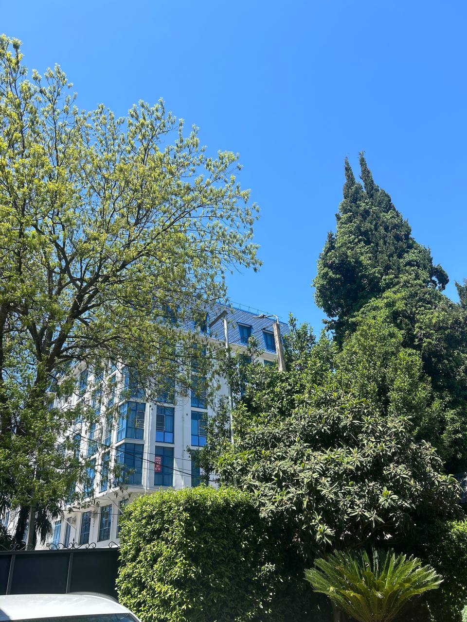 Фото Апельсин