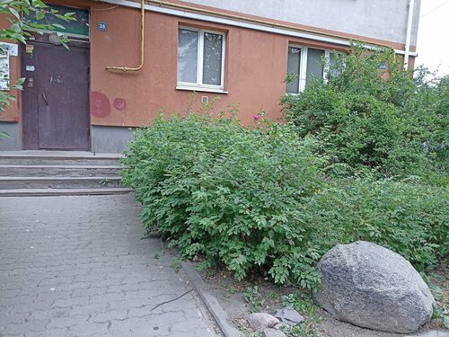Балтийские ночи  фото 3