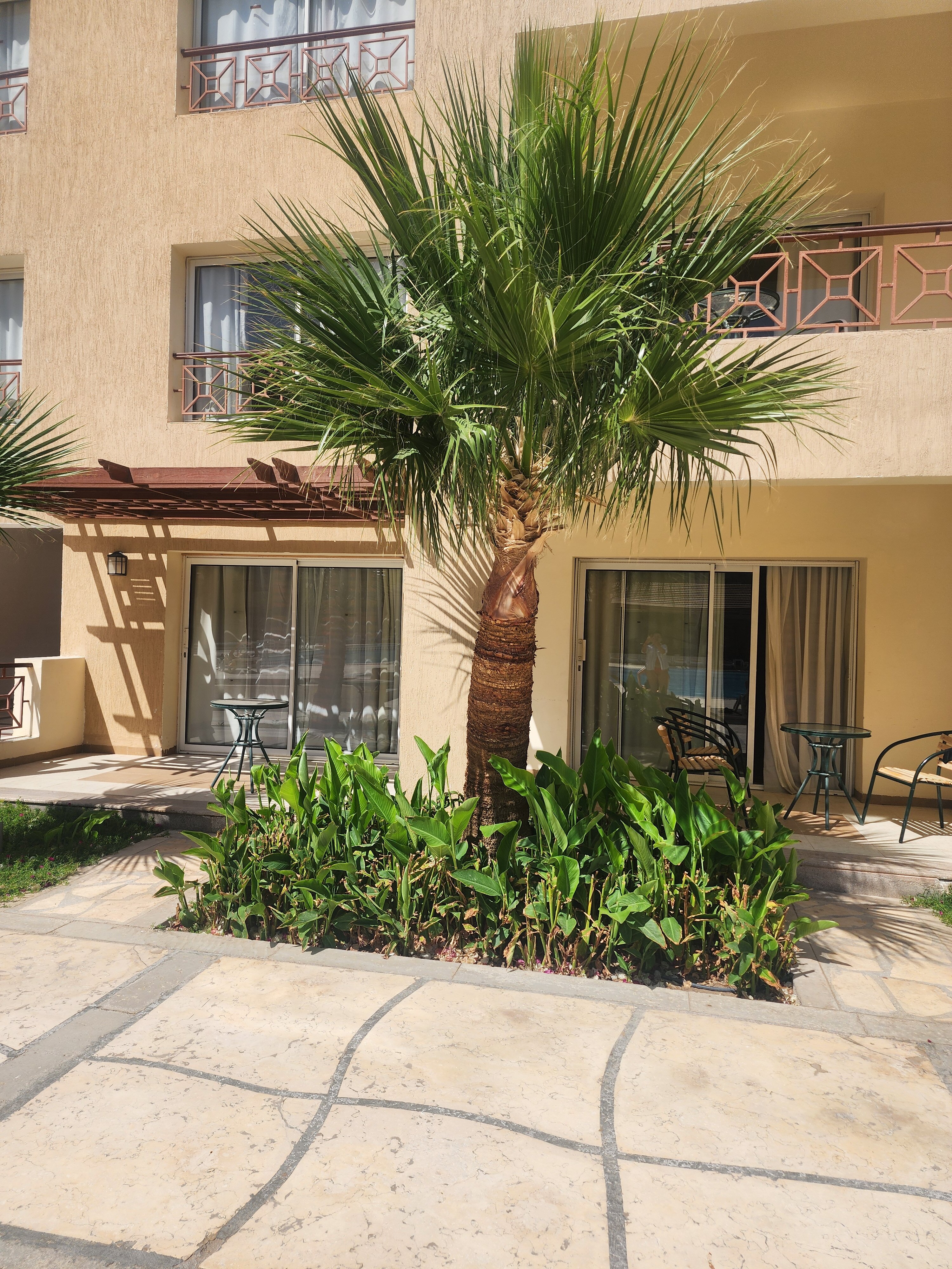 Фото Imperial Shams Abu Soma Resort