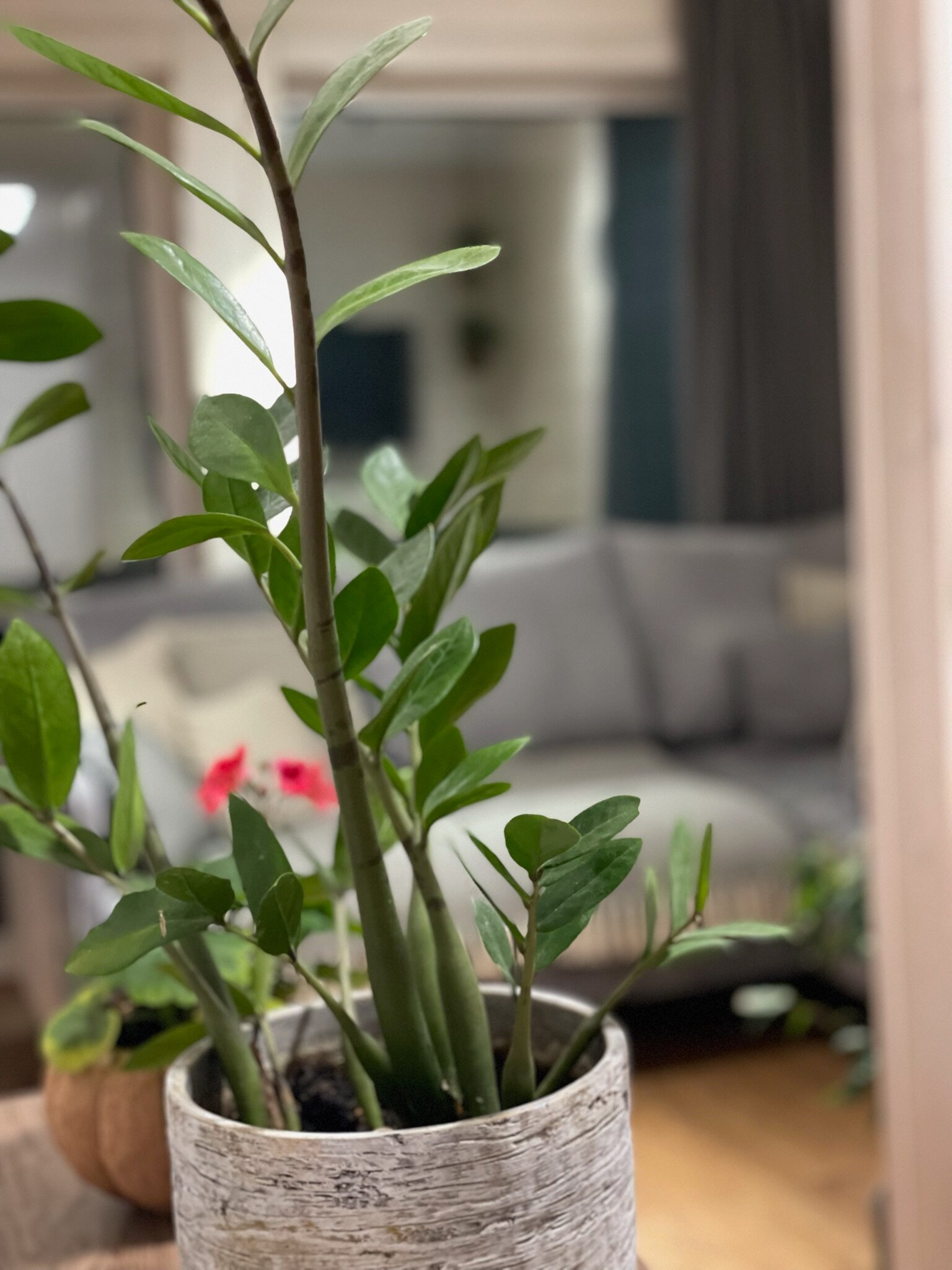 Фото Relax Villas Villa