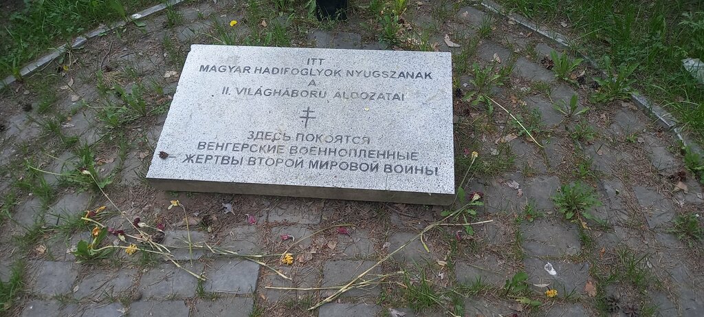 نصب تذكاري للحرب، مقبرة جماعية Венгерским военнопленным, умершим в советском плену ، بيرم، صورة
