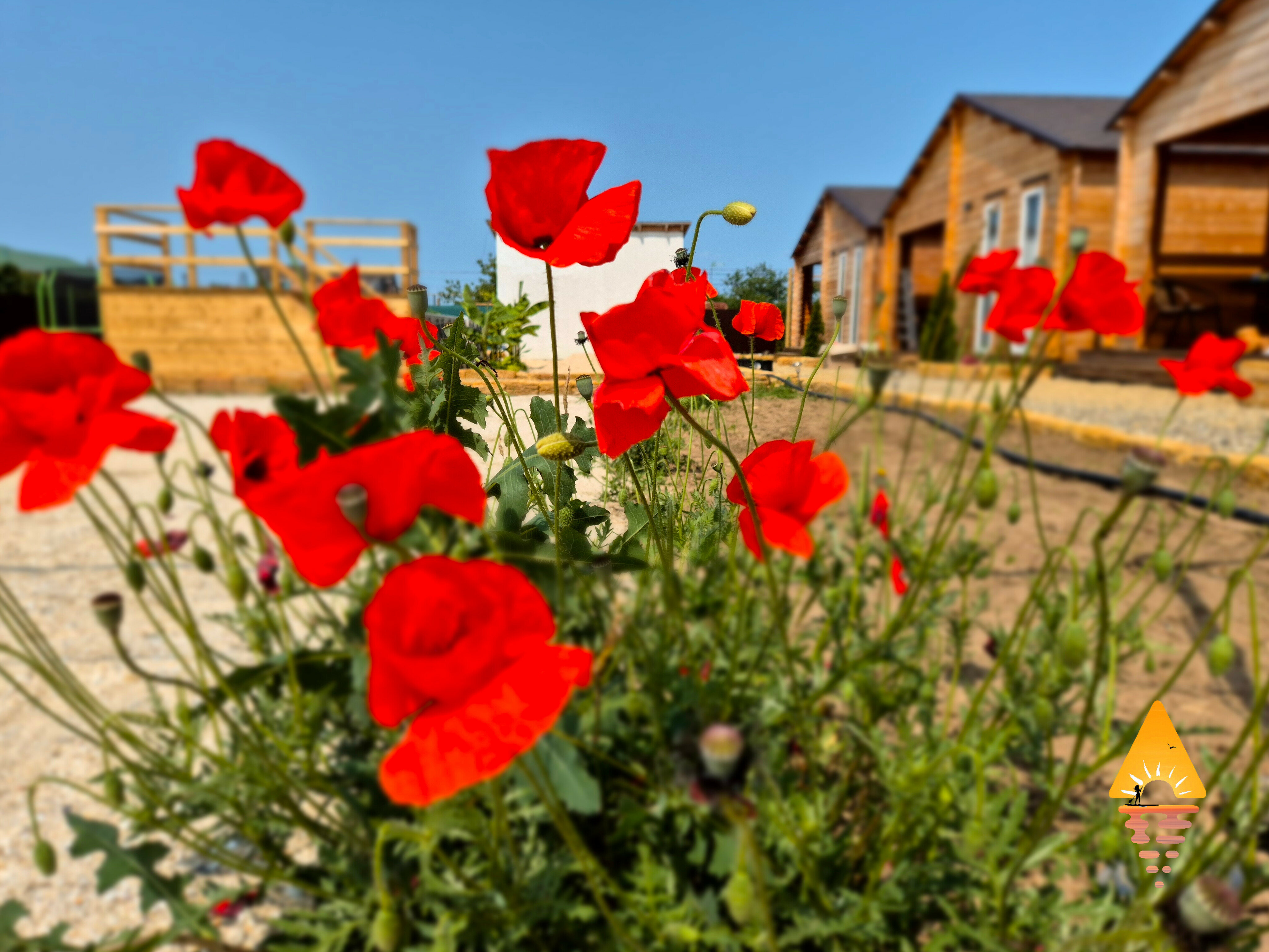 Фото Атмосфера