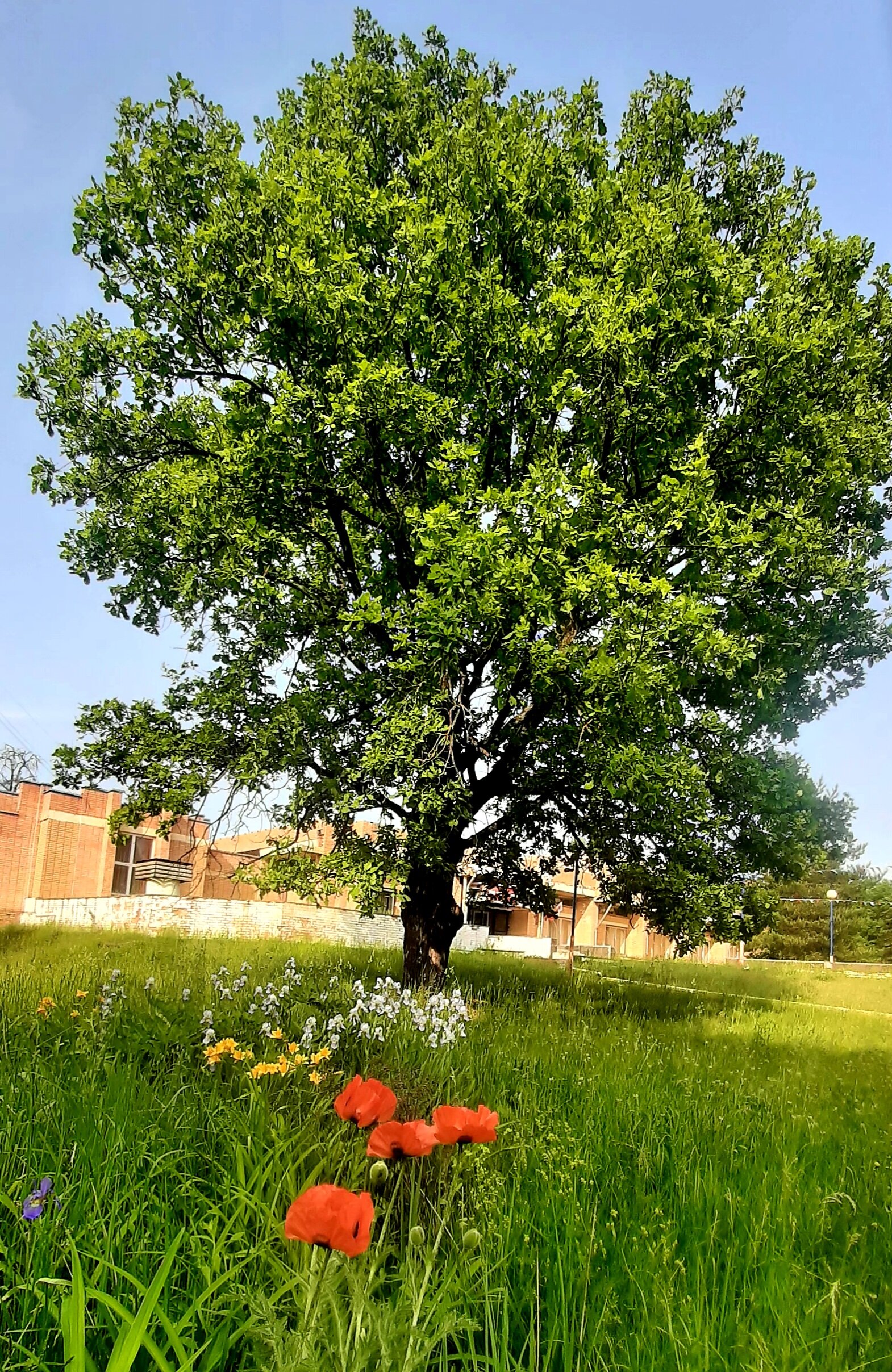 Фото Пансионат Солнечный комплекс Западный