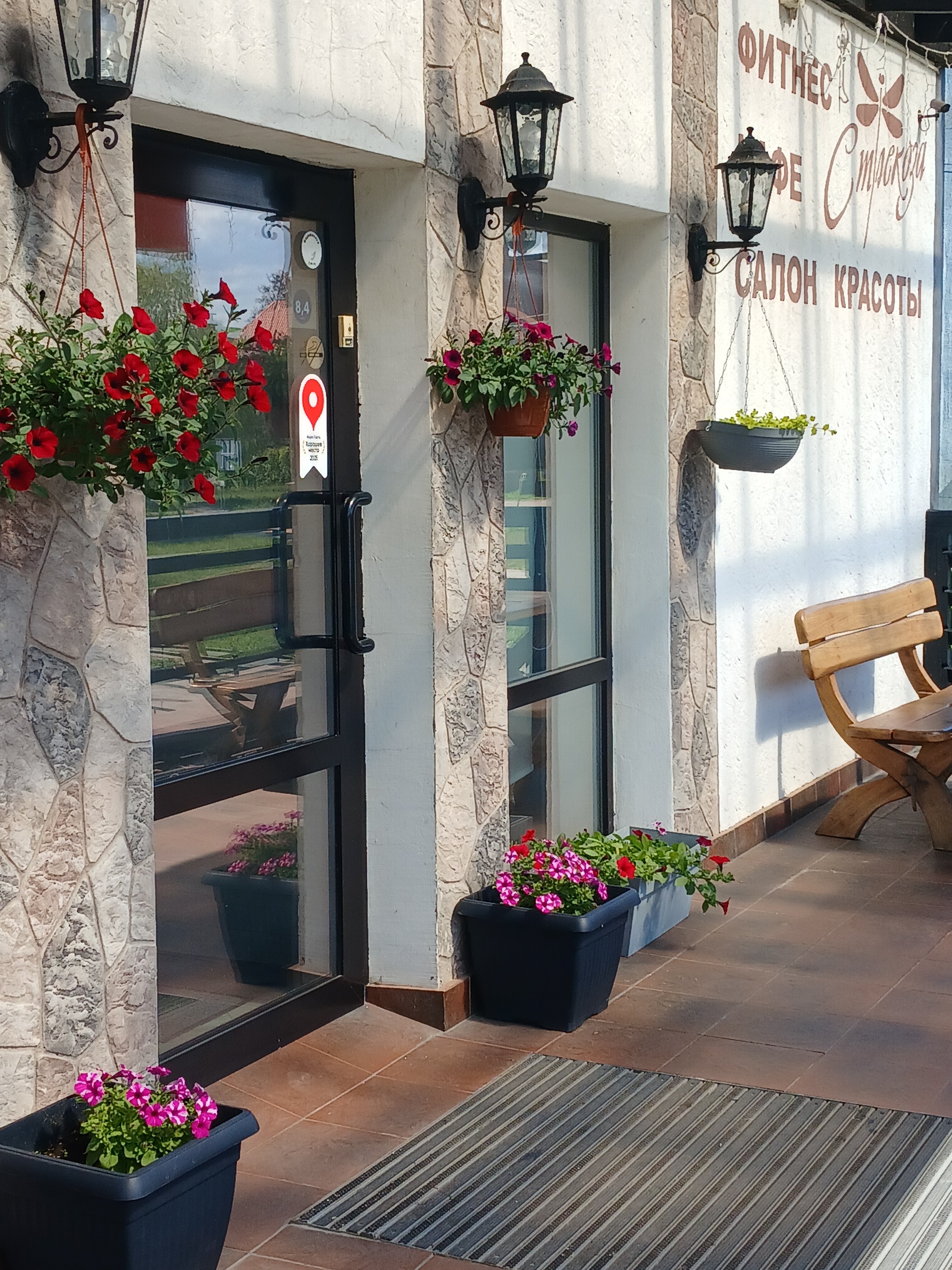 Фото Стрекоза