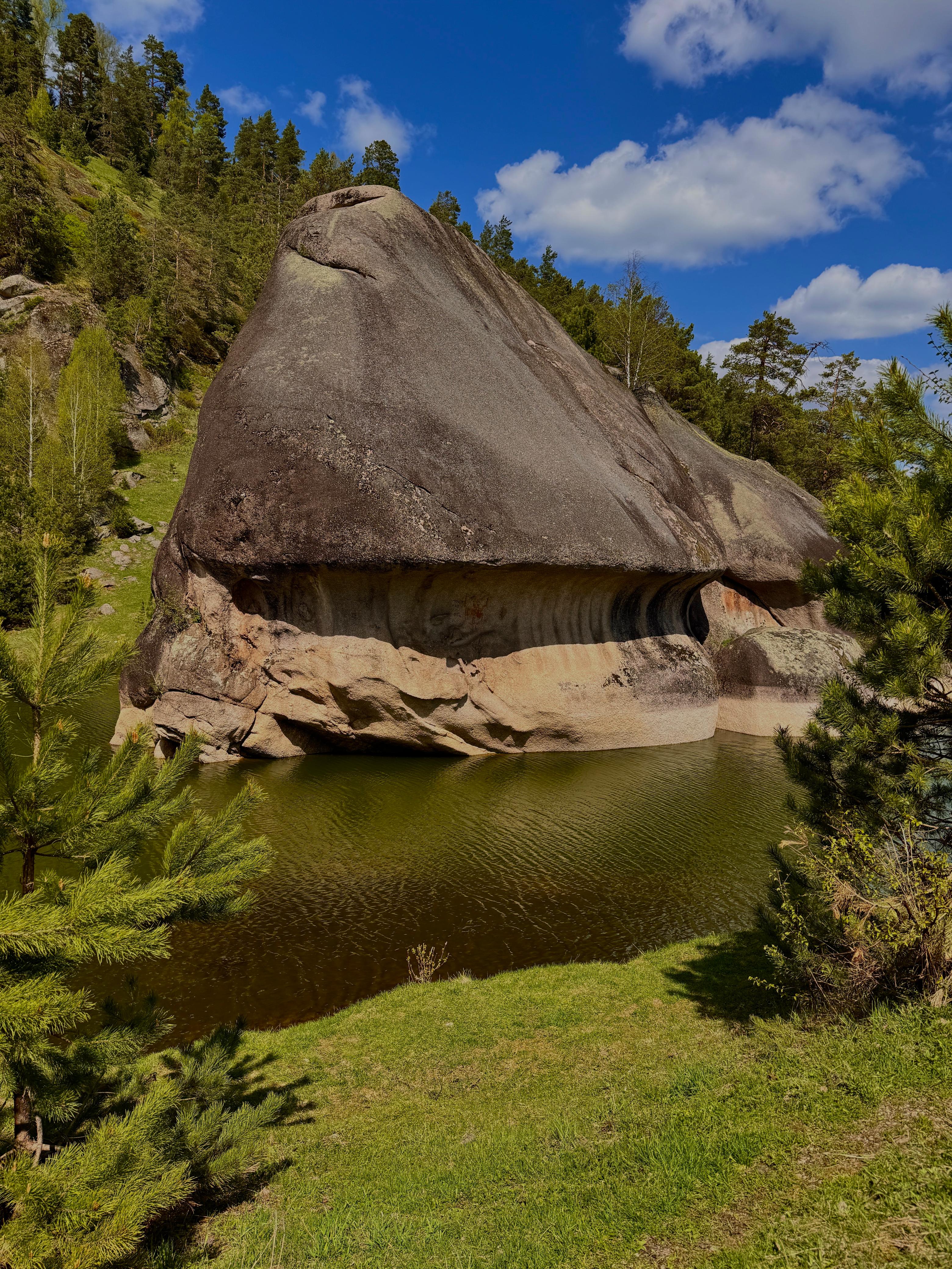 Фото Рыжий кот