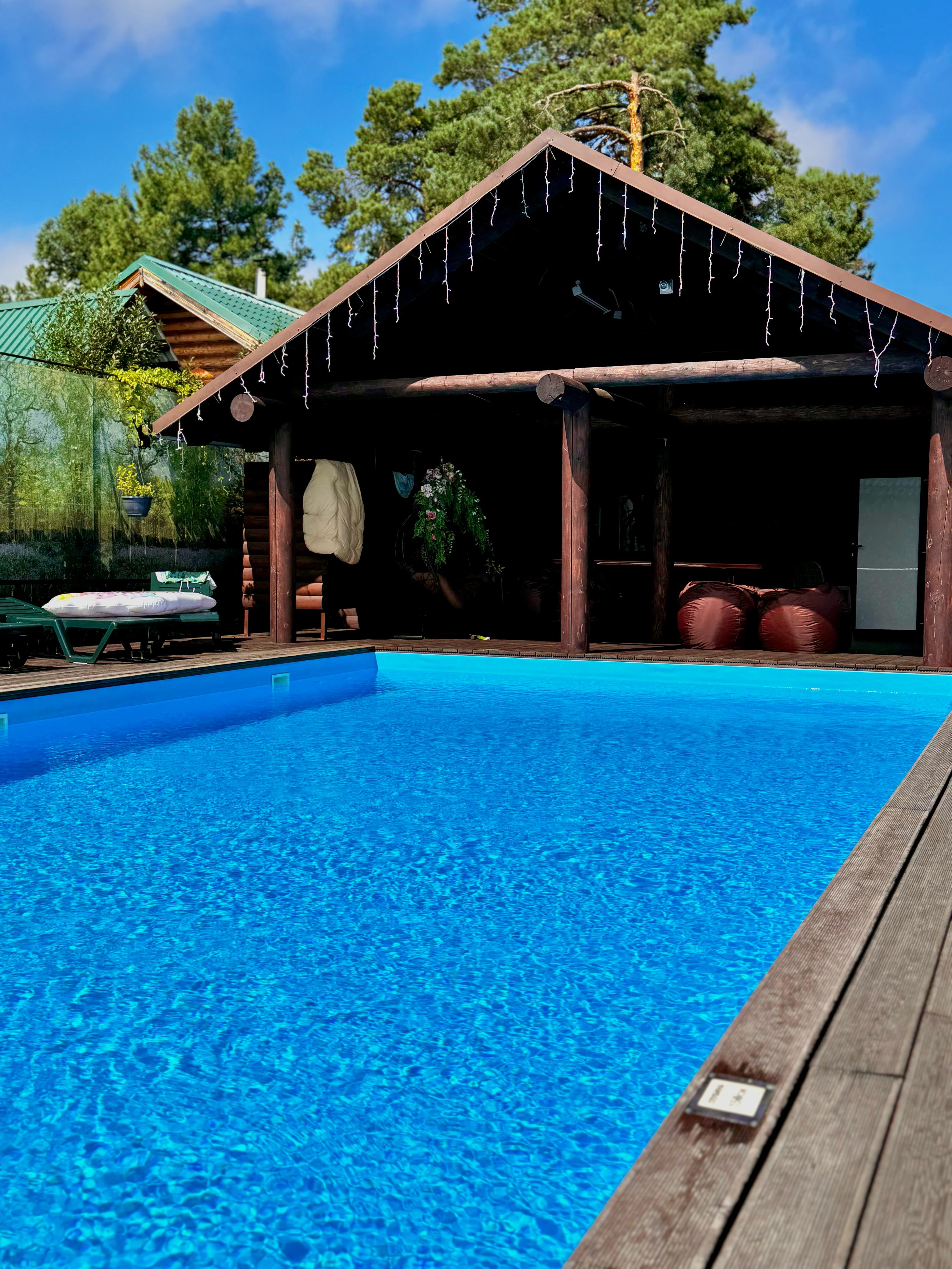 Фото Рыжий кот