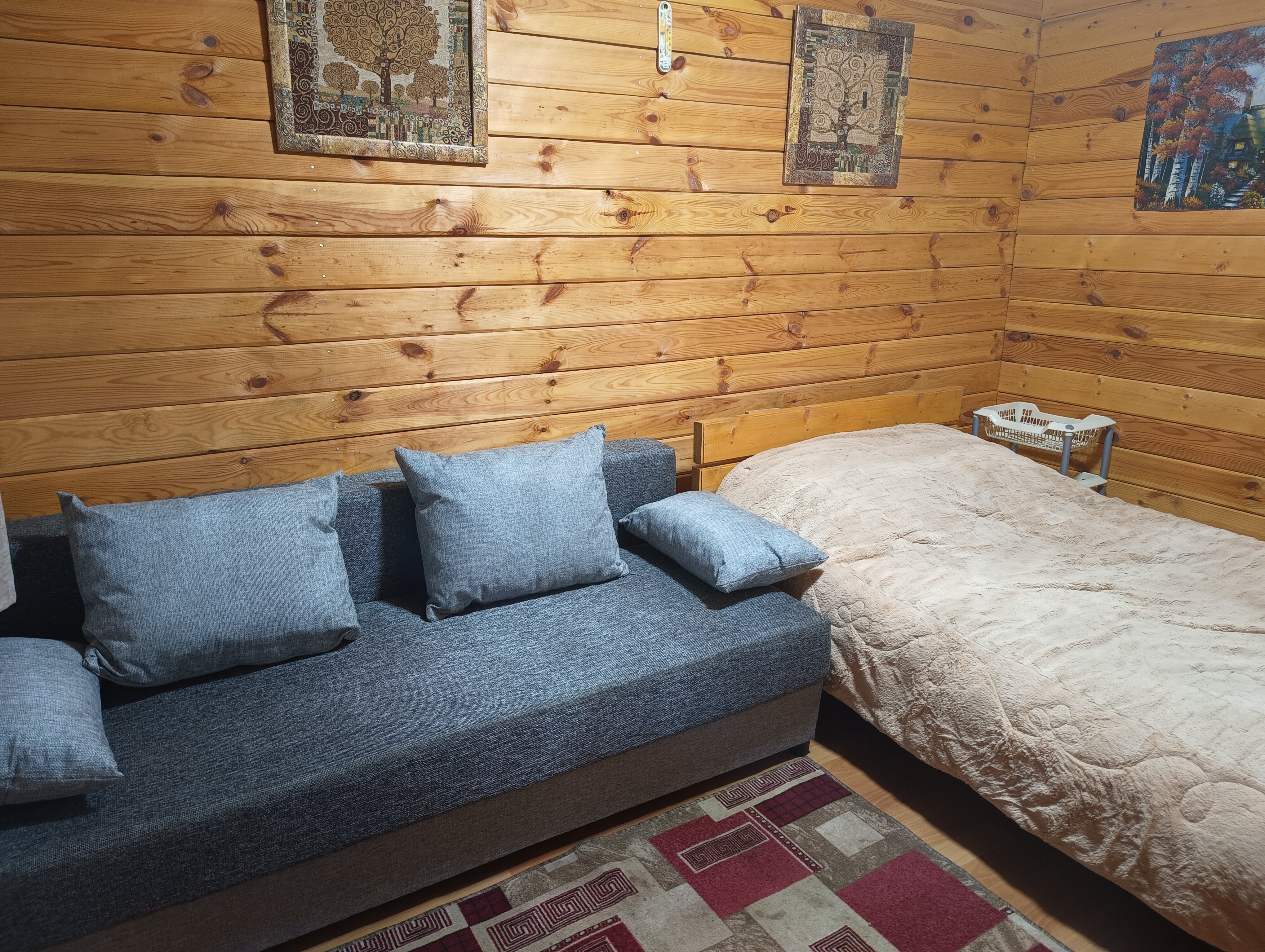 Фото Стрижели