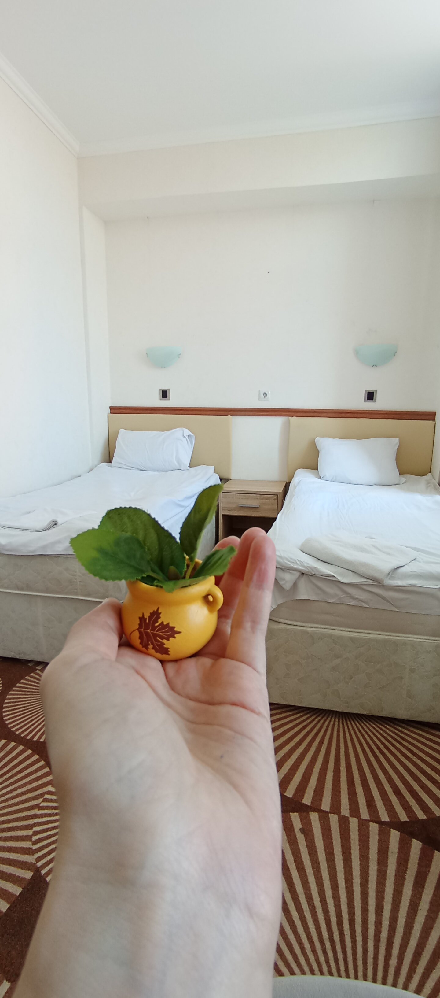 Фото Belveder Hotel&Spa