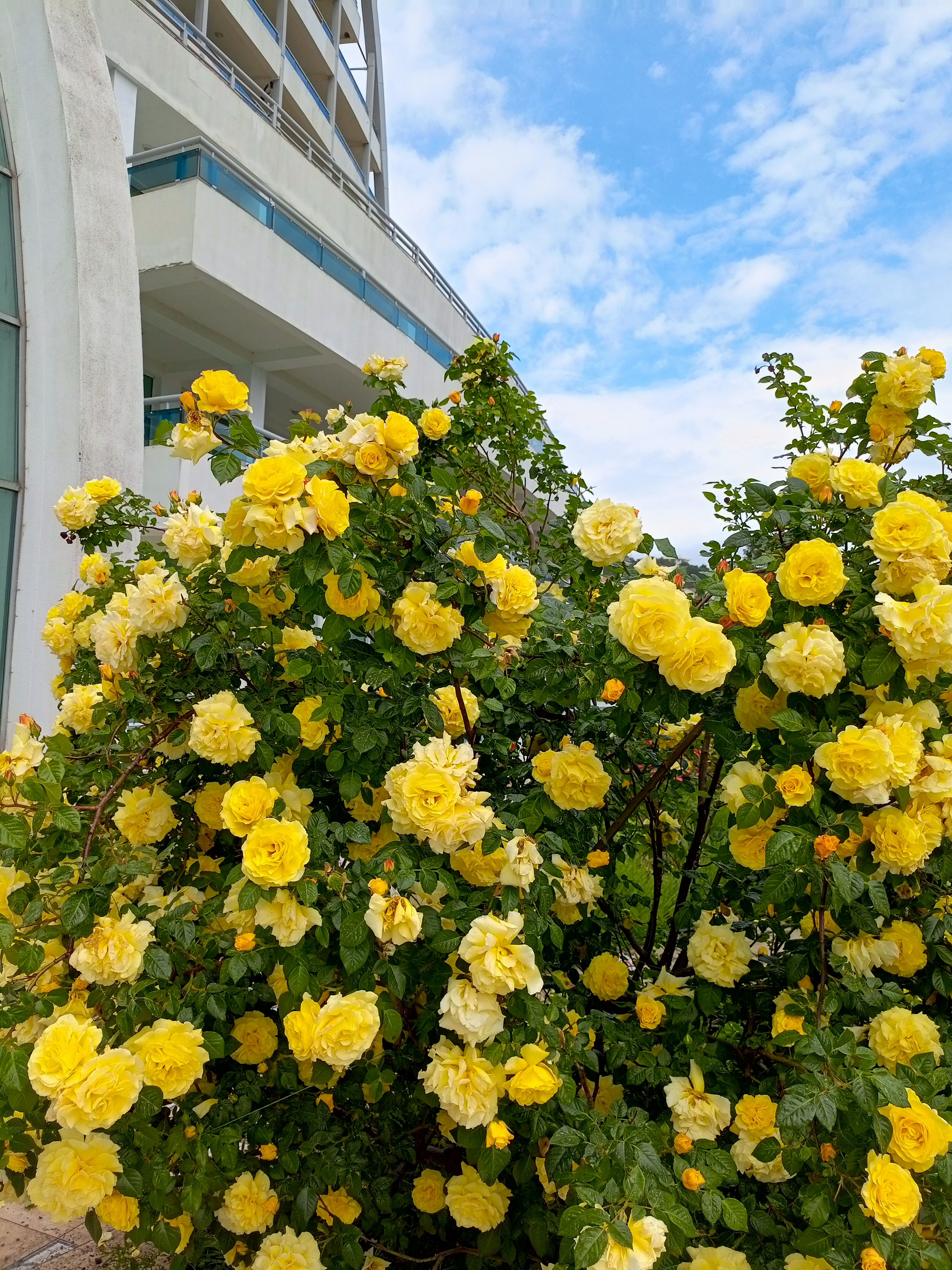 Фото Respect Hall Resort & SPA