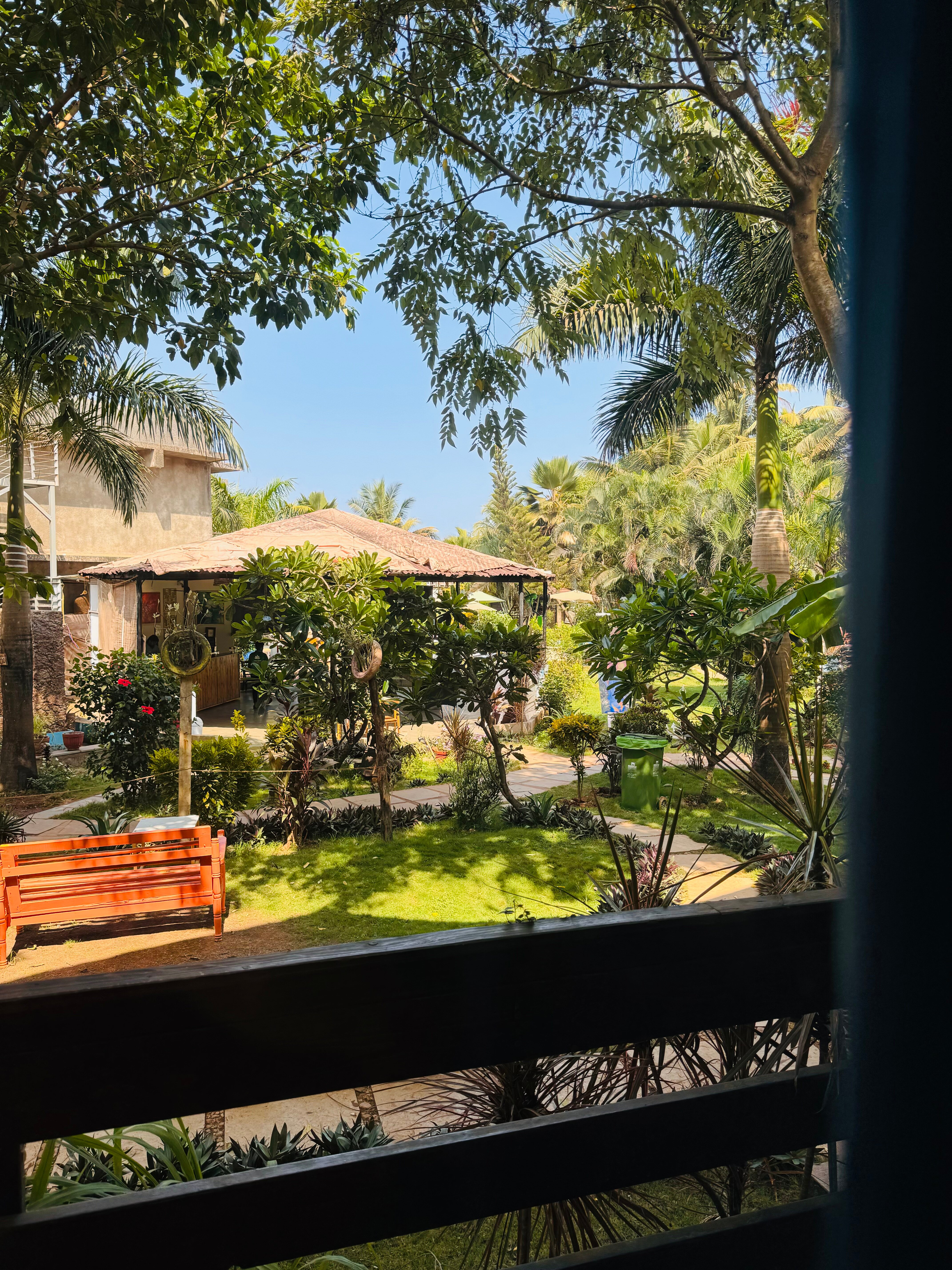 Фото Lotus Sutra