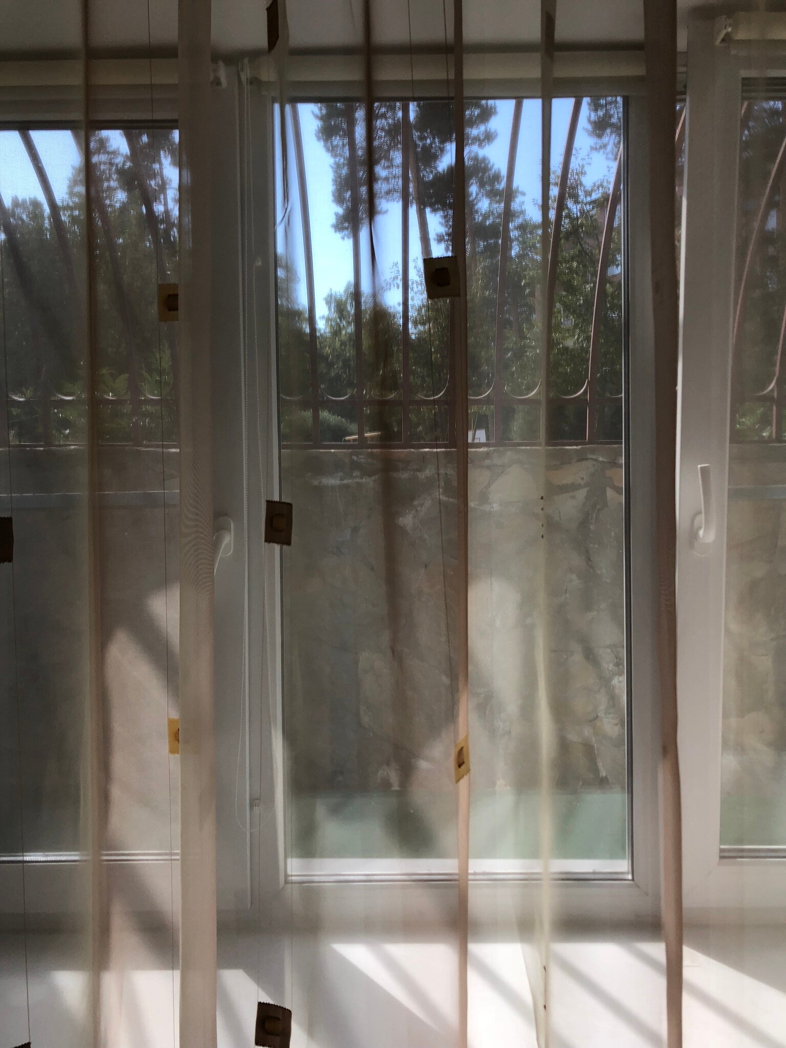 Фото 4 Апельсина