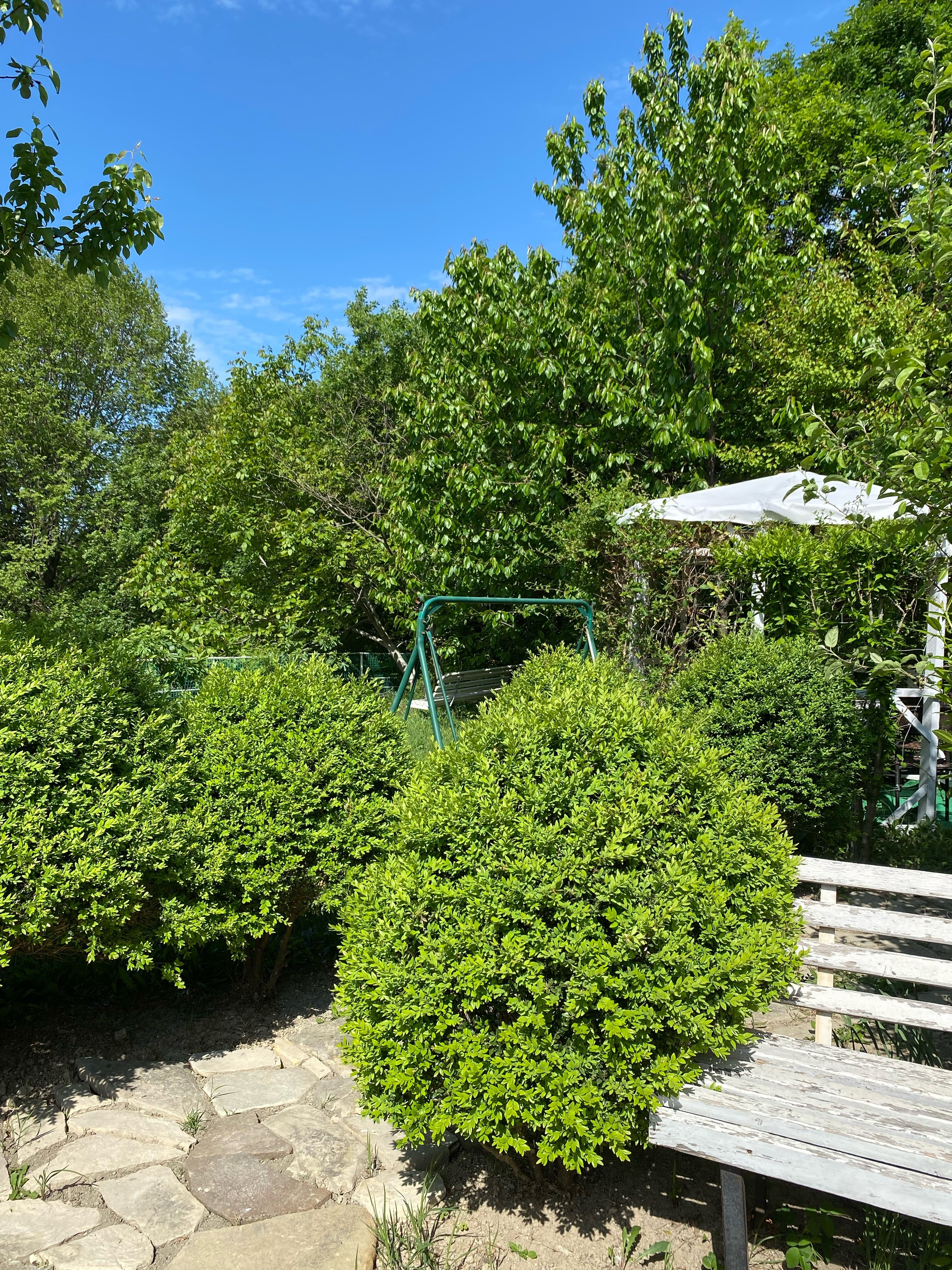 Фото Бирюза