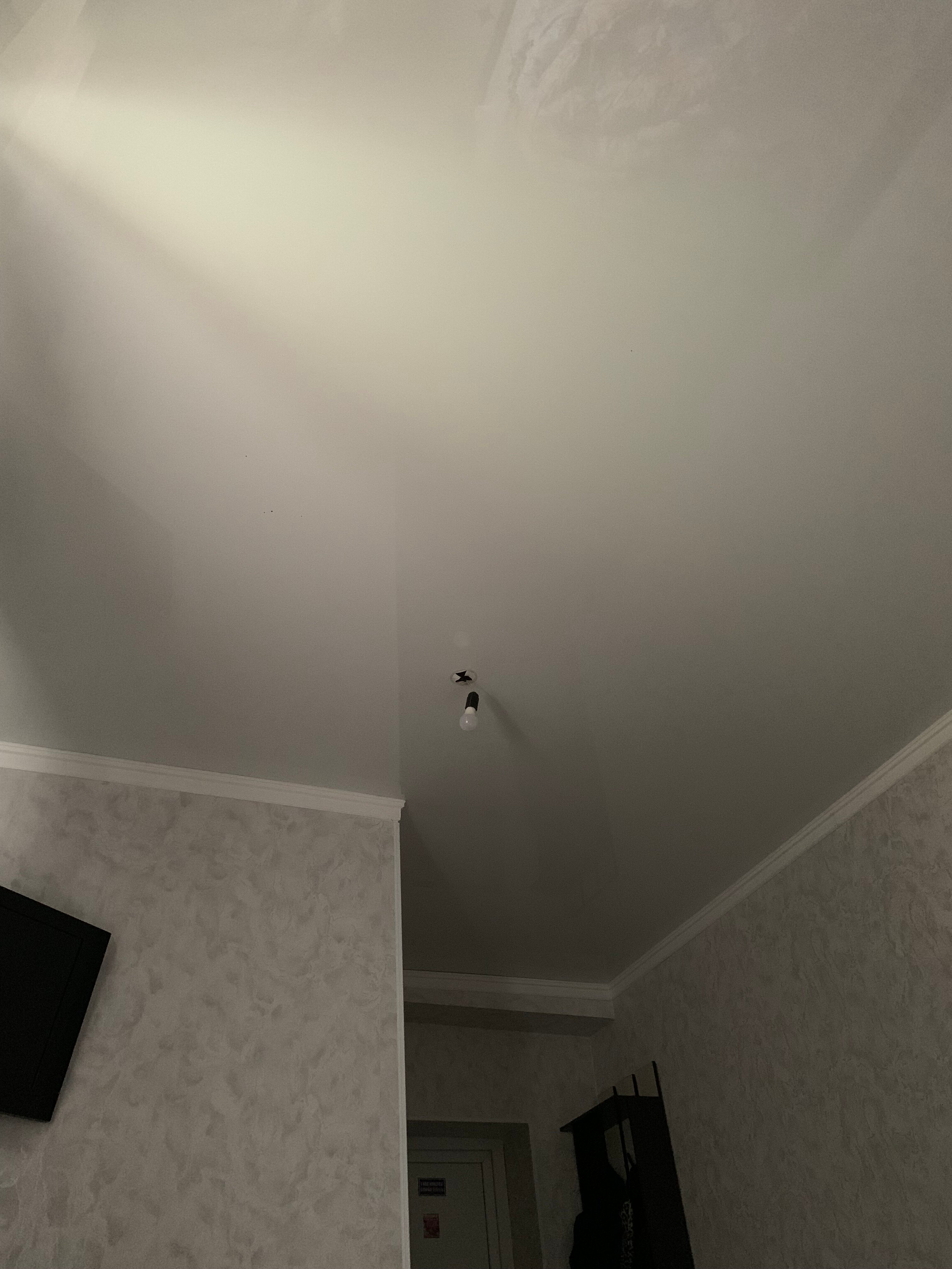 Фото Встреча