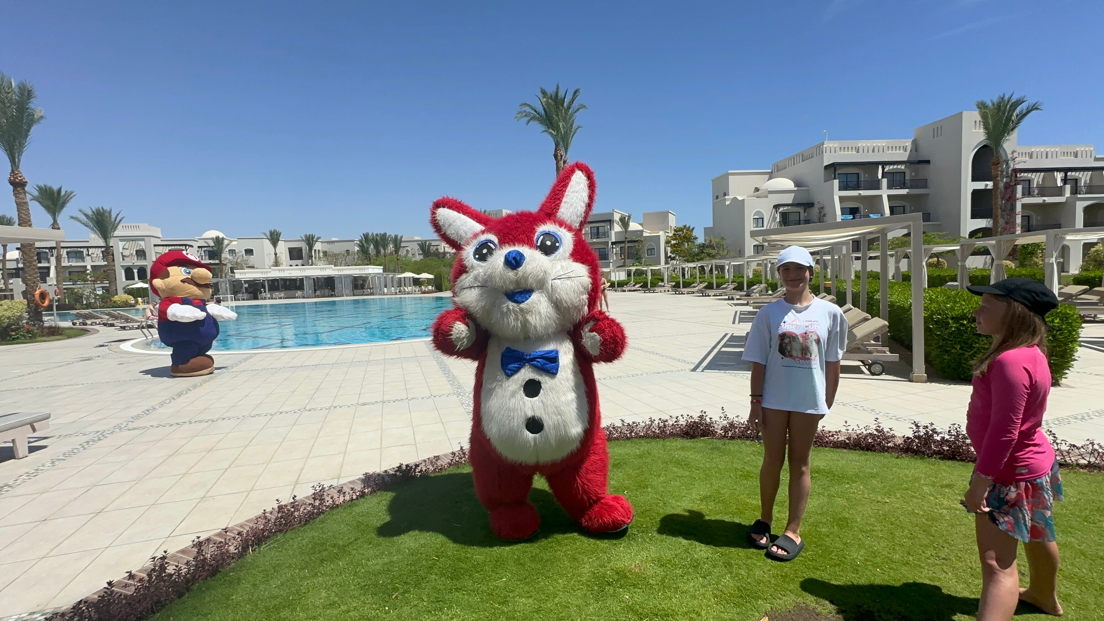 Фото Steigenberger Alcazar