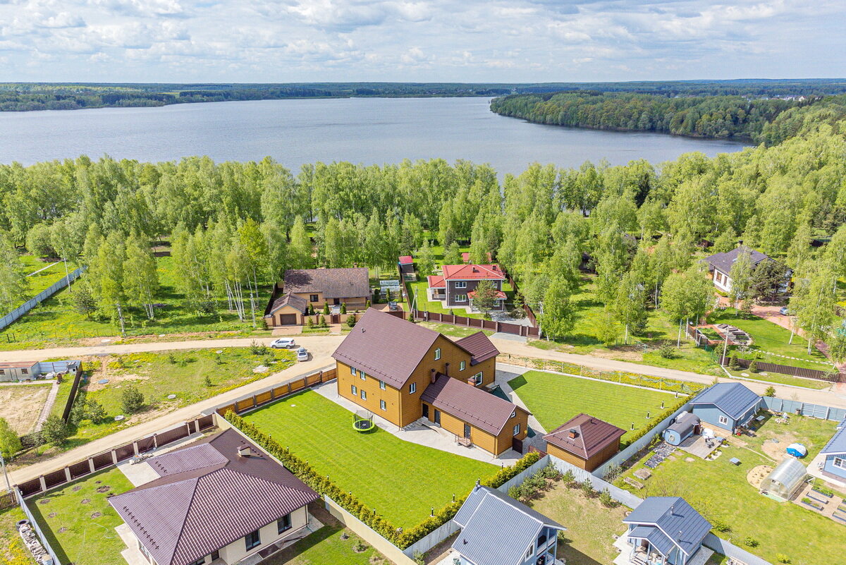 Фото Дельфин