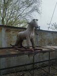 Titan (Baǵdat Shaıahmetov kóshesi, 17/1) ، ملعب