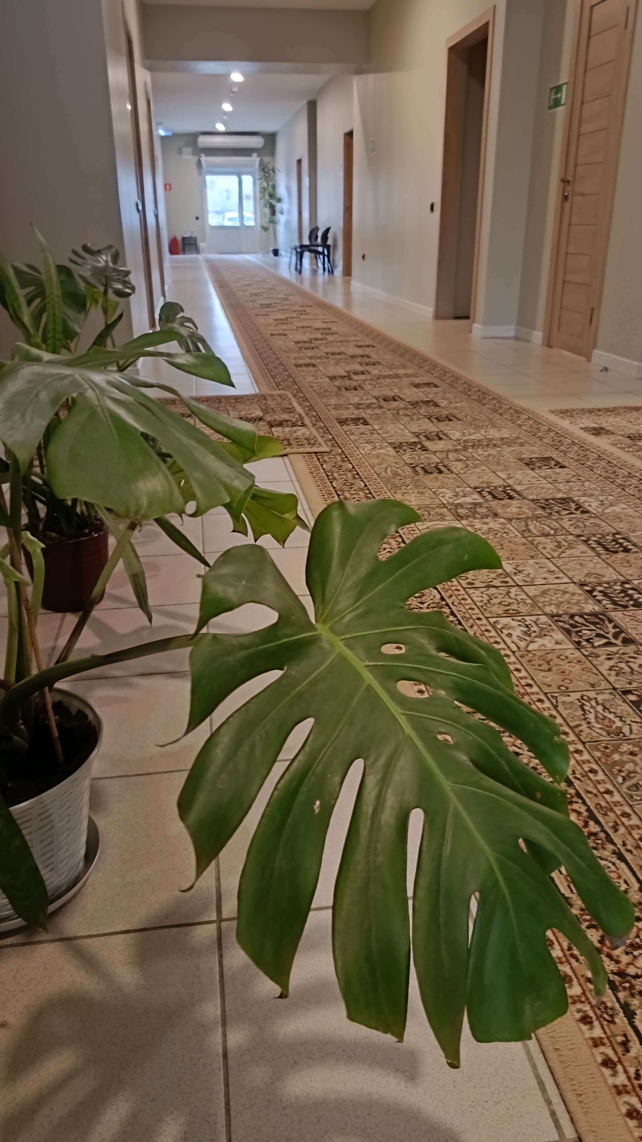 Фото Азовский