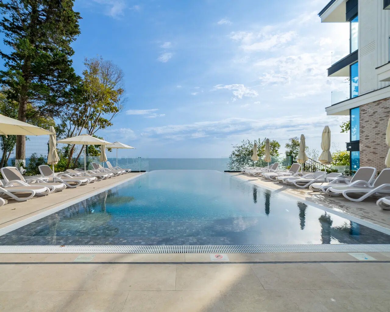 Фото Лучезарный