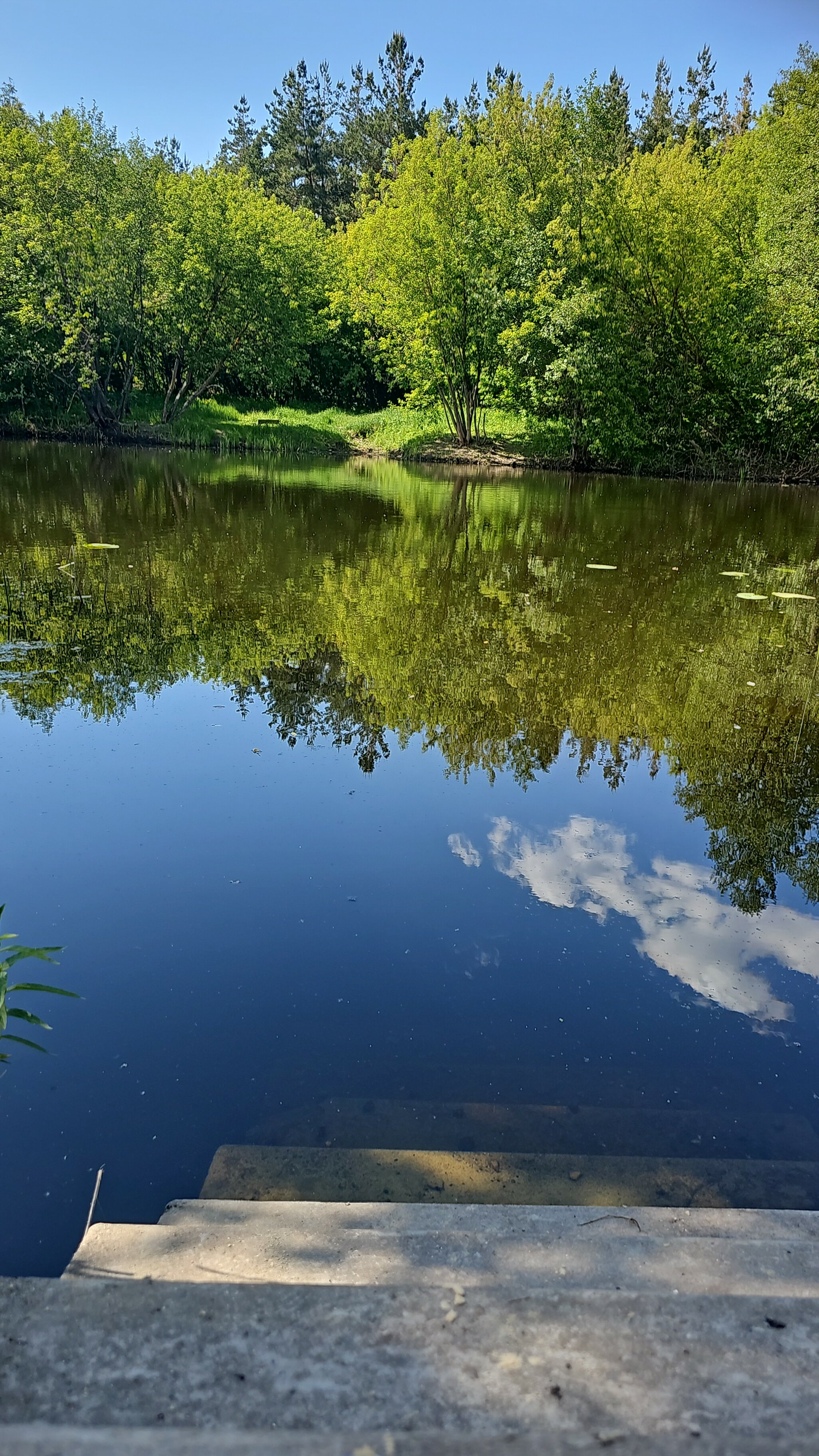 Фото Шишкин Афрейм