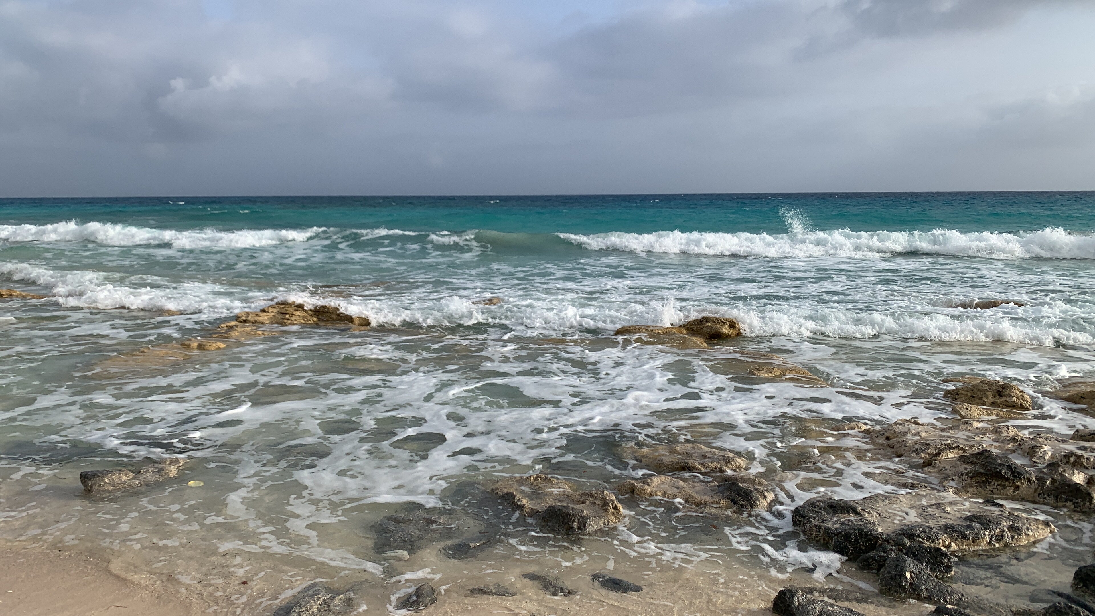 Фото The G Seashell