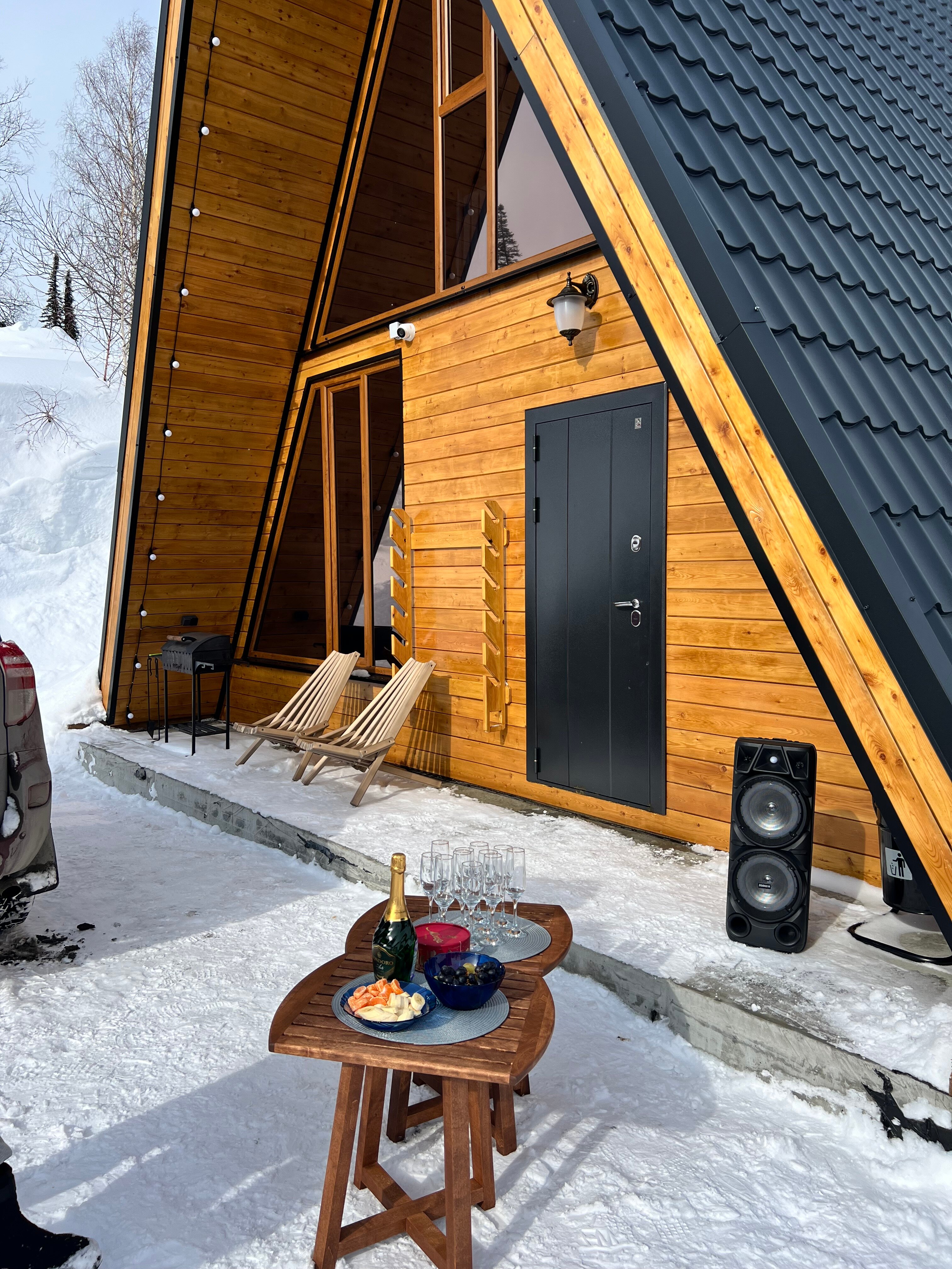 Фото Снежная сова