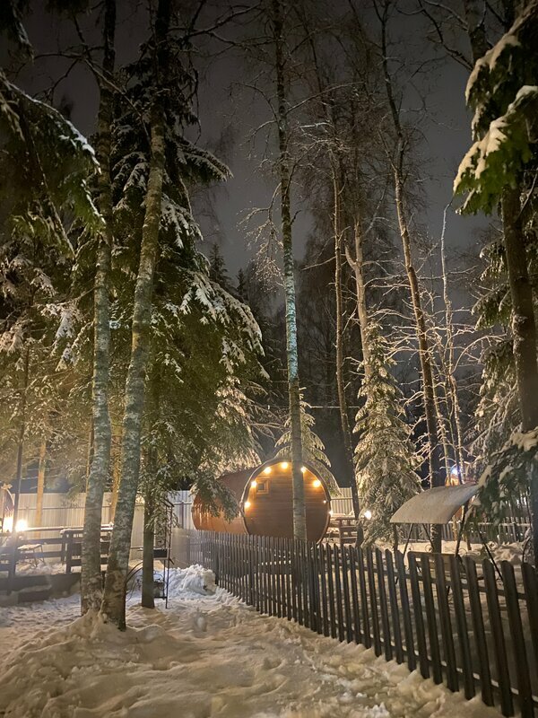 Фото Elki в Новожилово