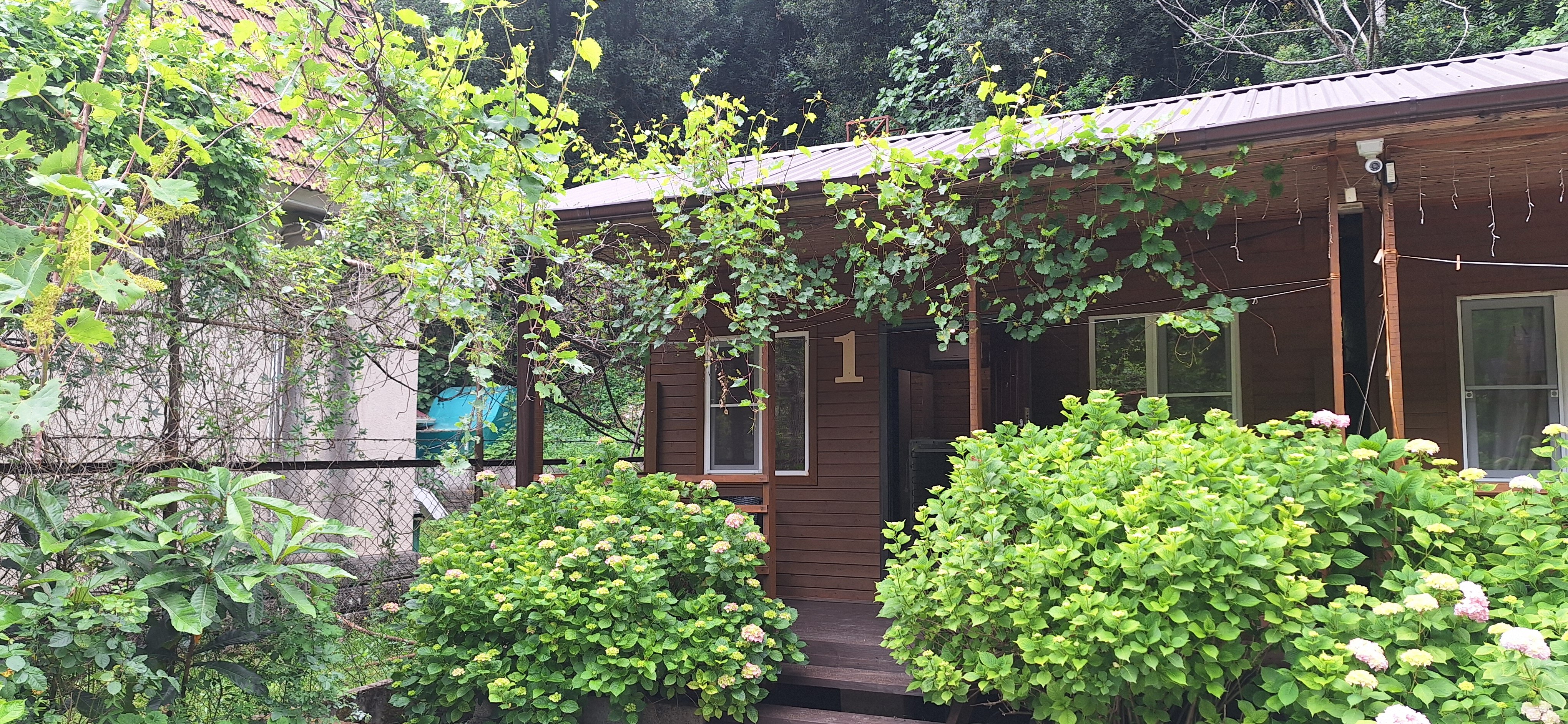 Фото Гостевой Дом Ahan