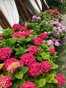 Гостевой Дом Ahan