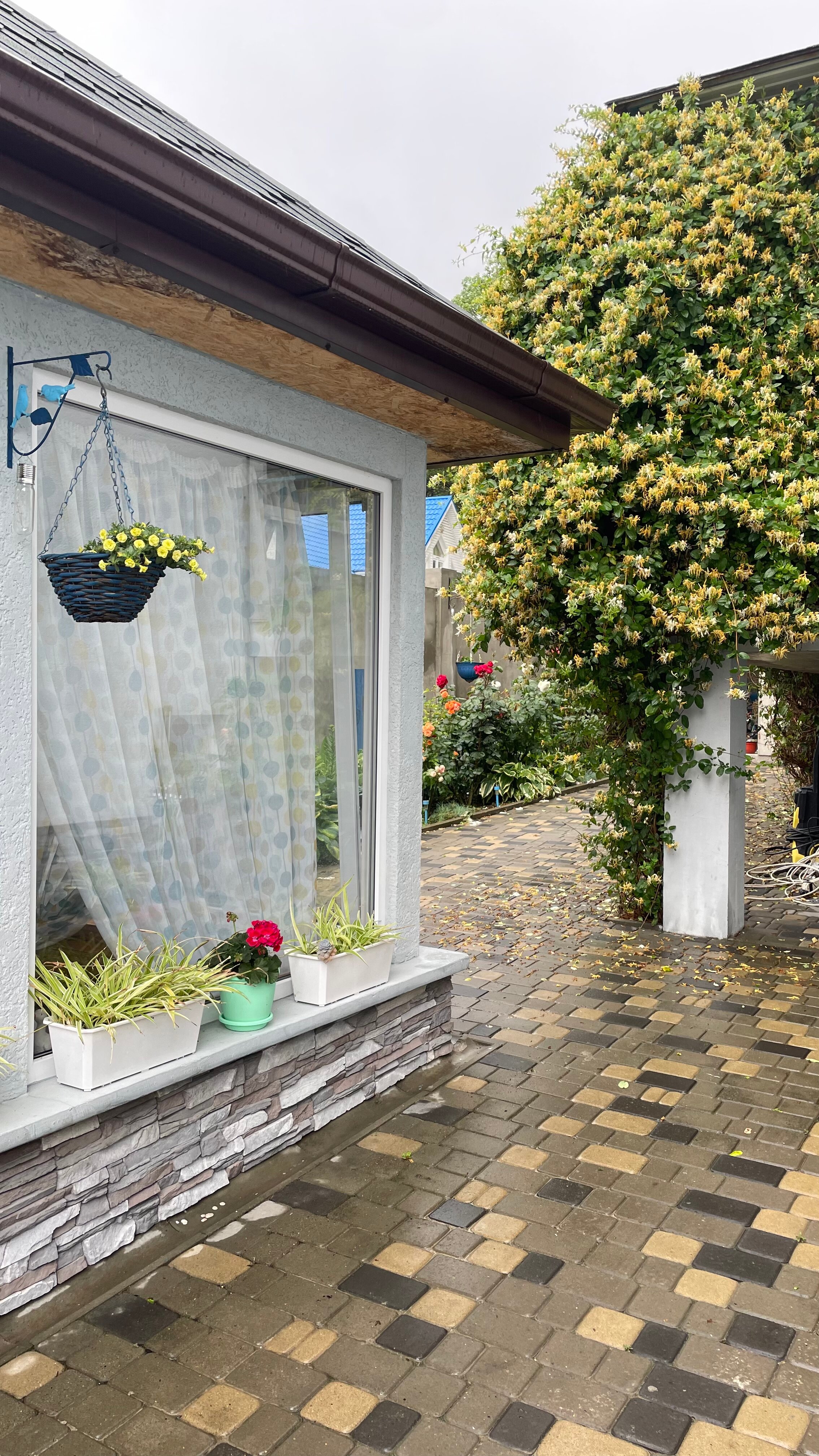 Фото Альтитюд