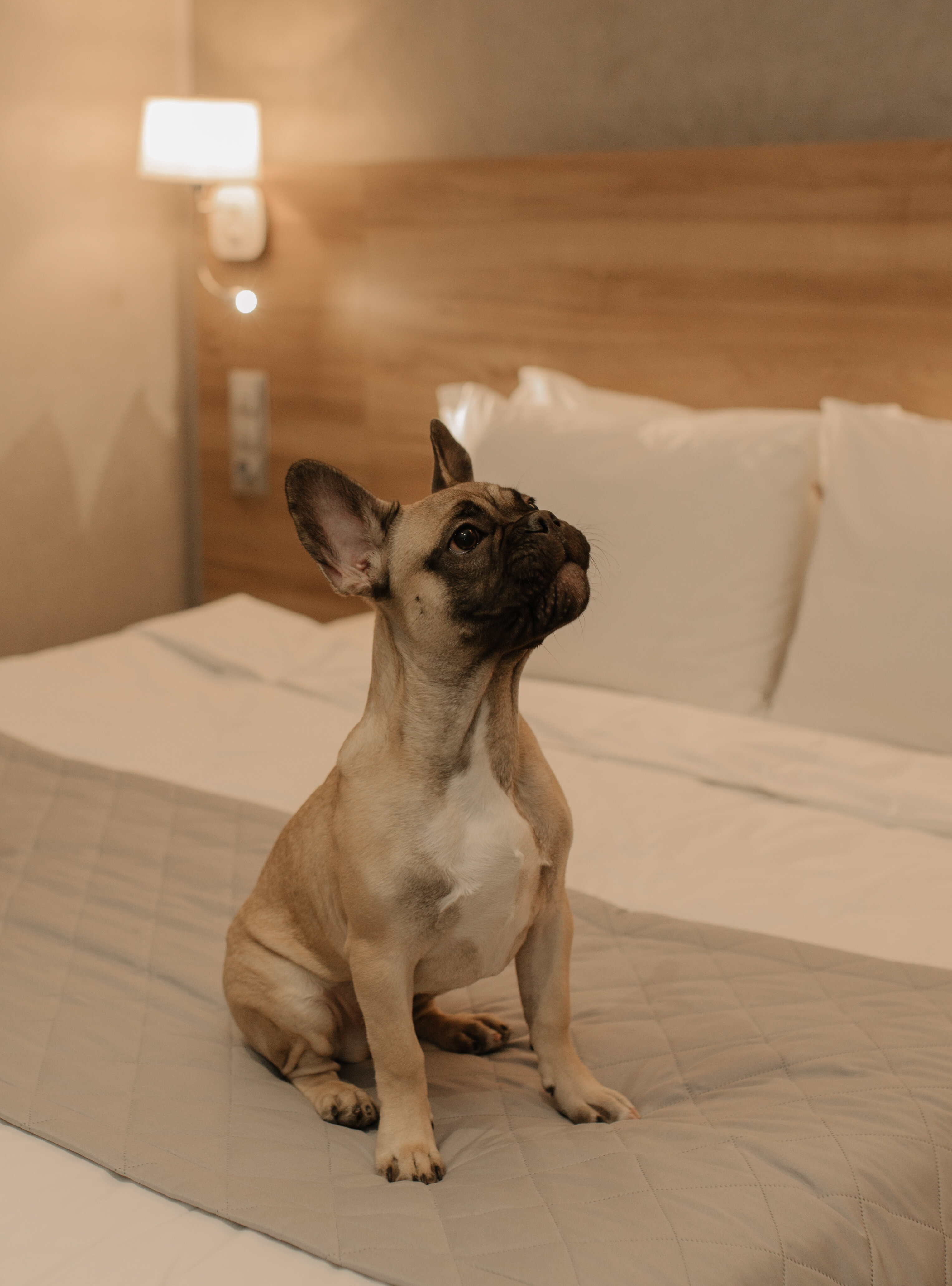 Фото Welton Club