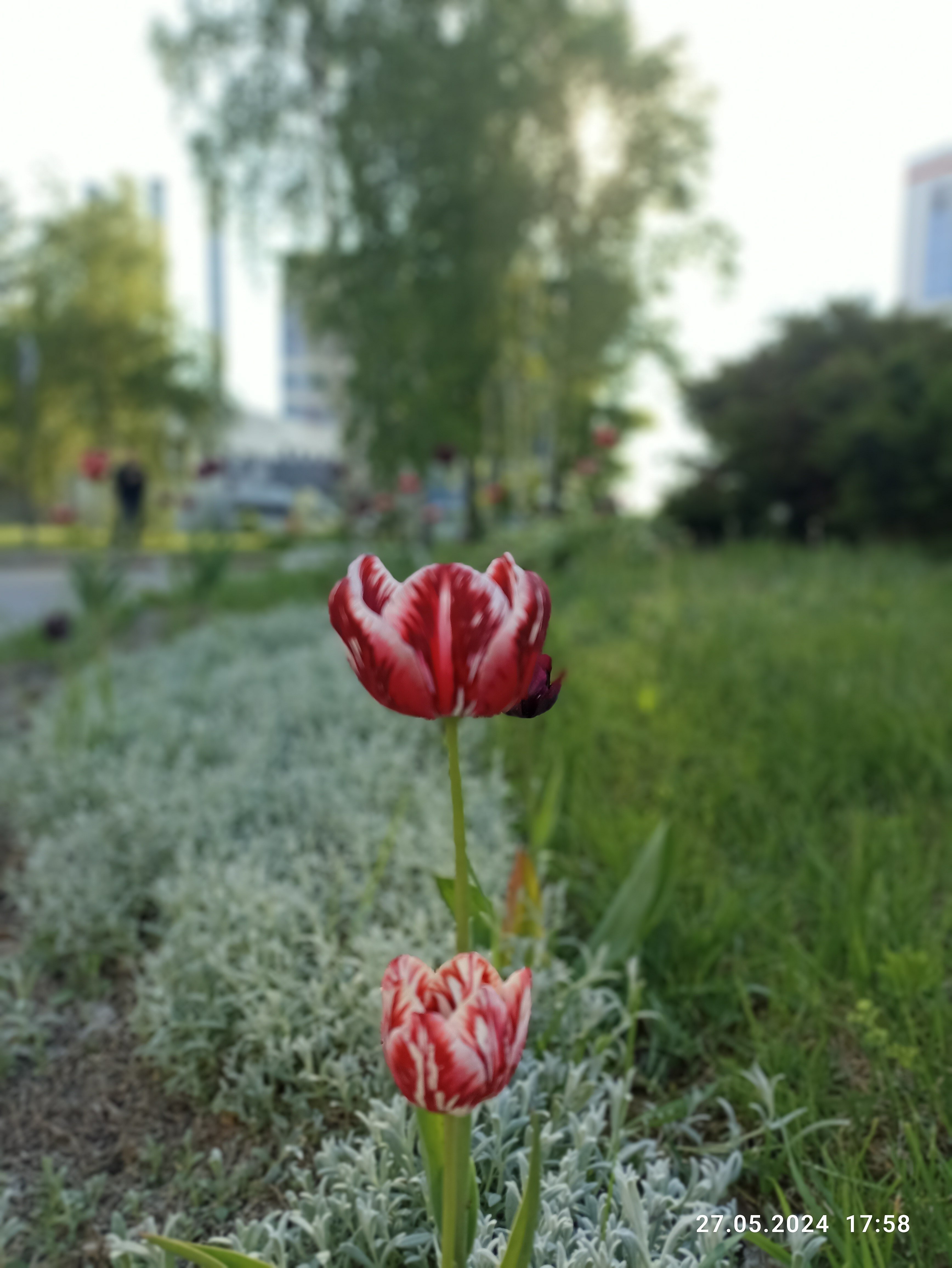 Фото Skypoint Hotel