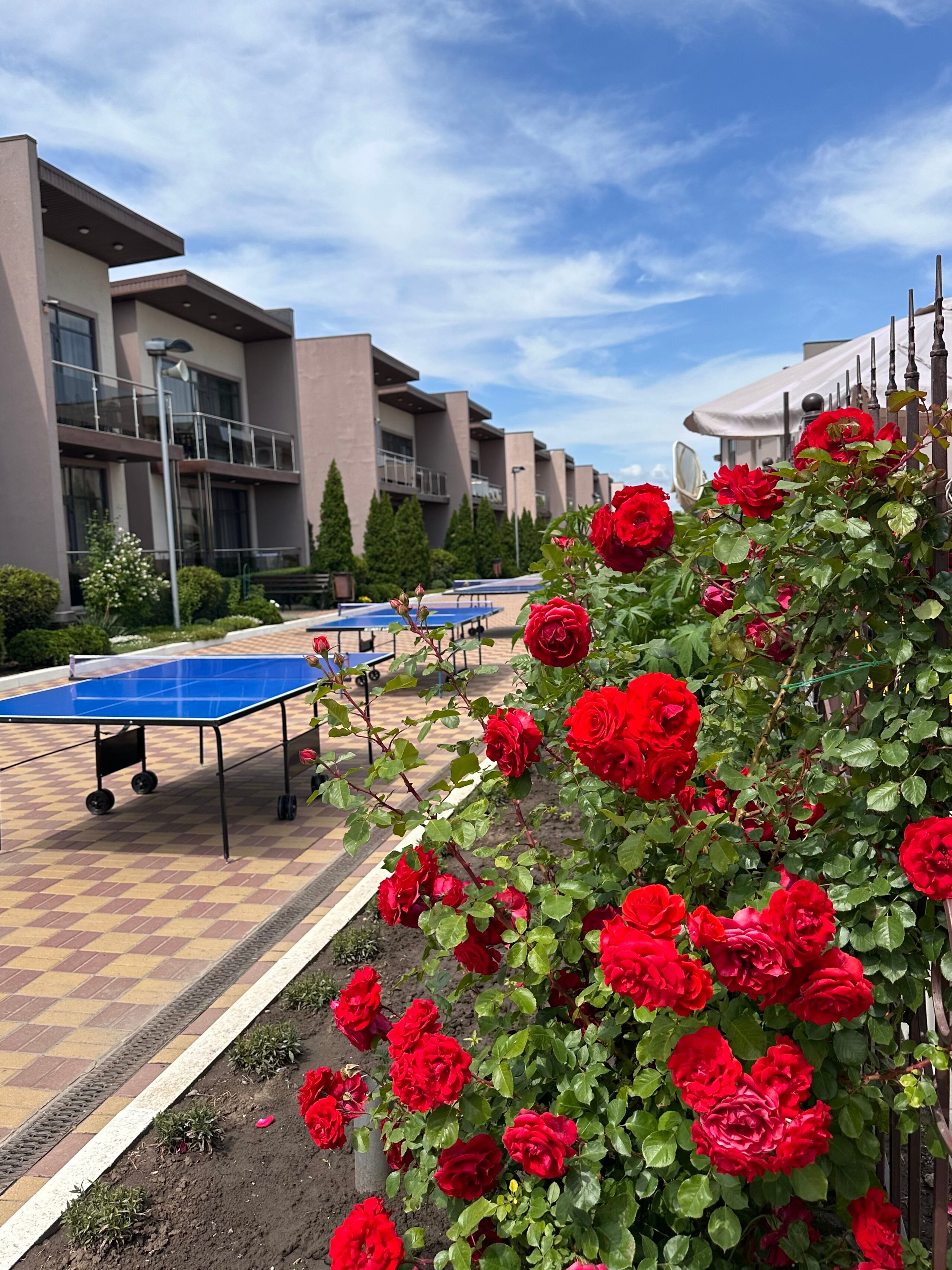 Фото Diamond Park Hotel