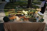 Премьер кейтеринг (Deputatskaya ulitsa, 110), catering