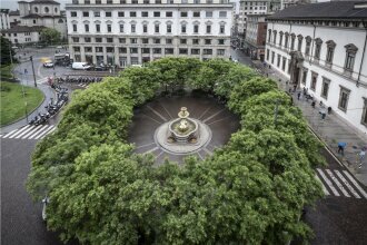 Фото The Rosa Grand